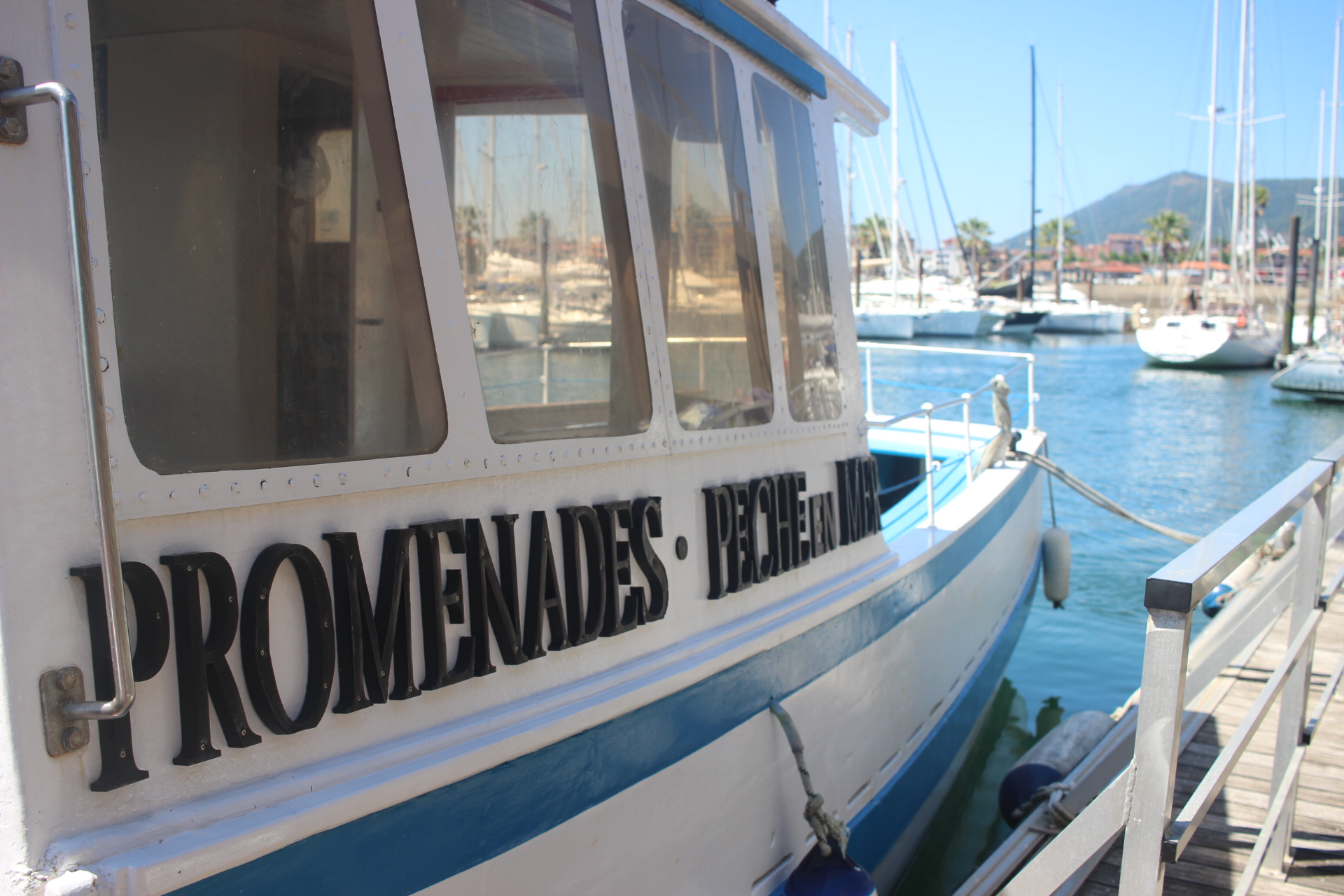 Bateau Hendayais II - Promenades en mer - photo 5