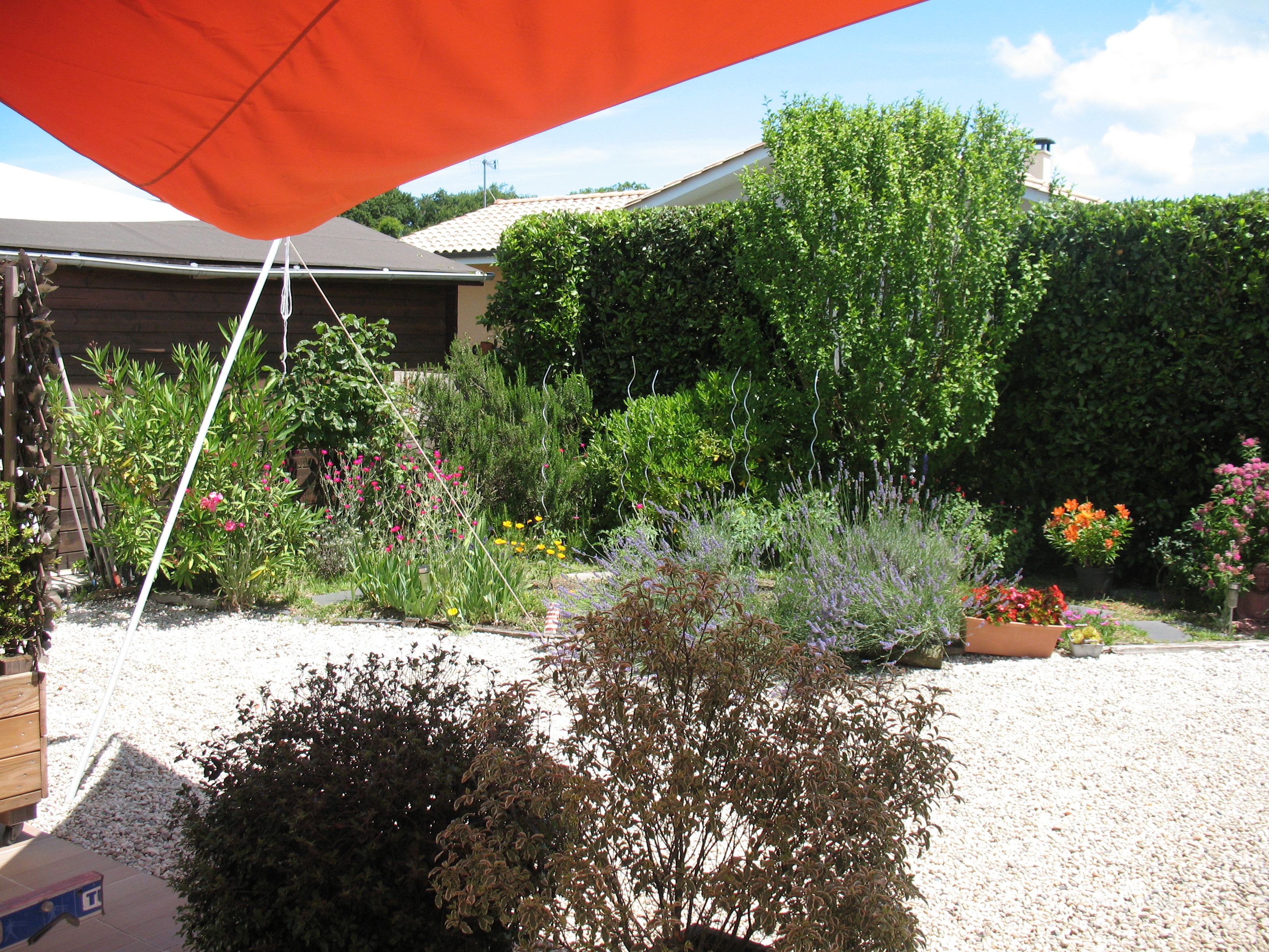 Maison FELISIAK, Gujan-Mestras - photo 3
