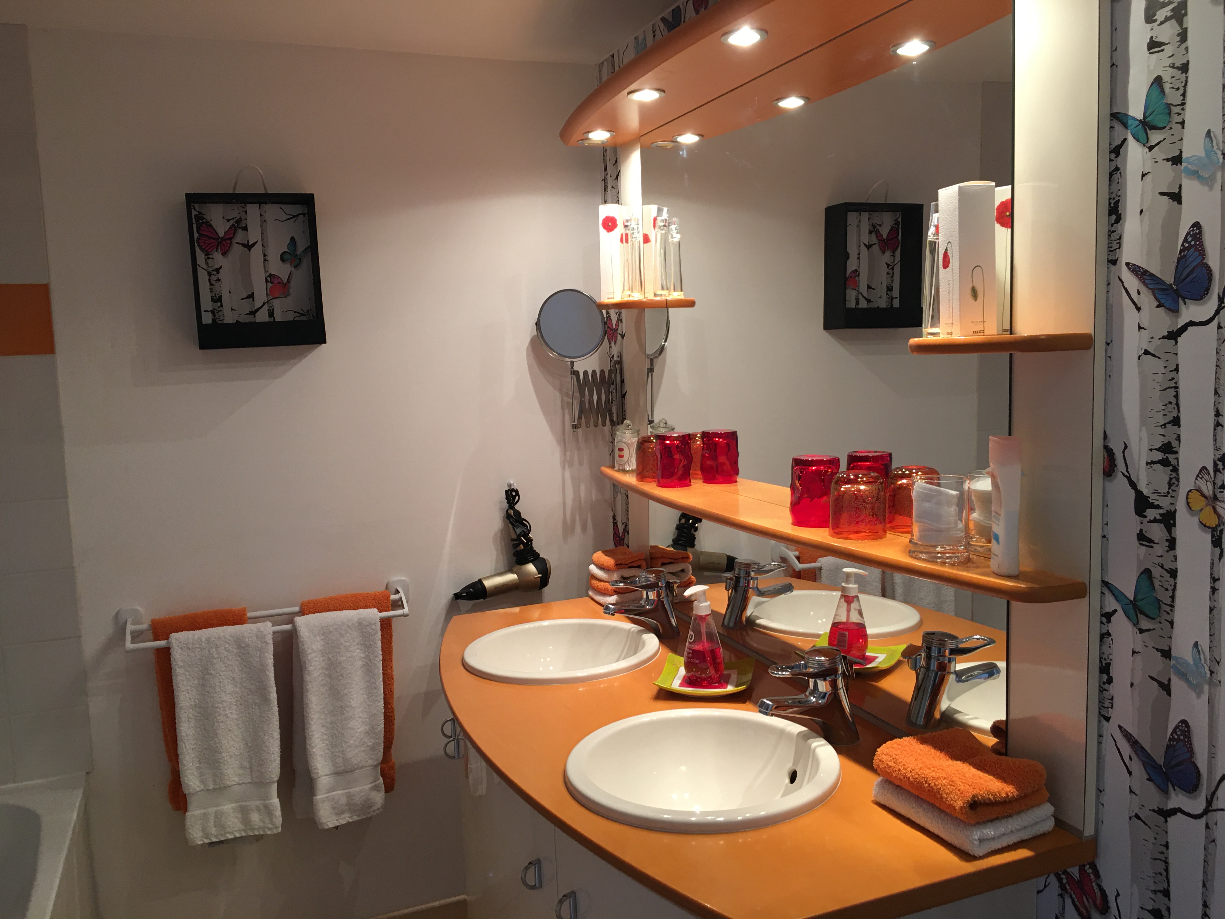 Le Logis de la Mélissière, Xaintray - photo 22