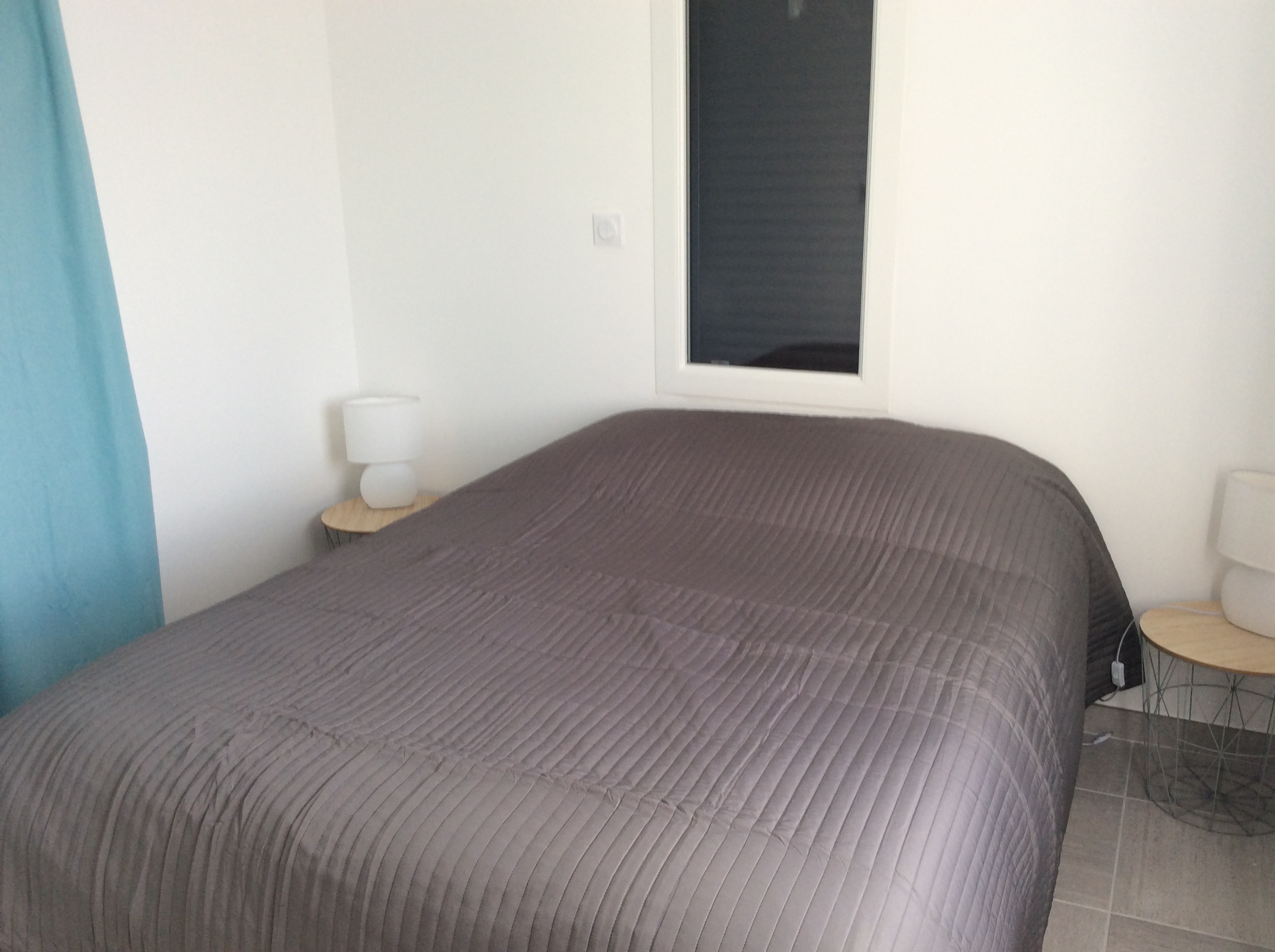 Cacahuète - photo 3