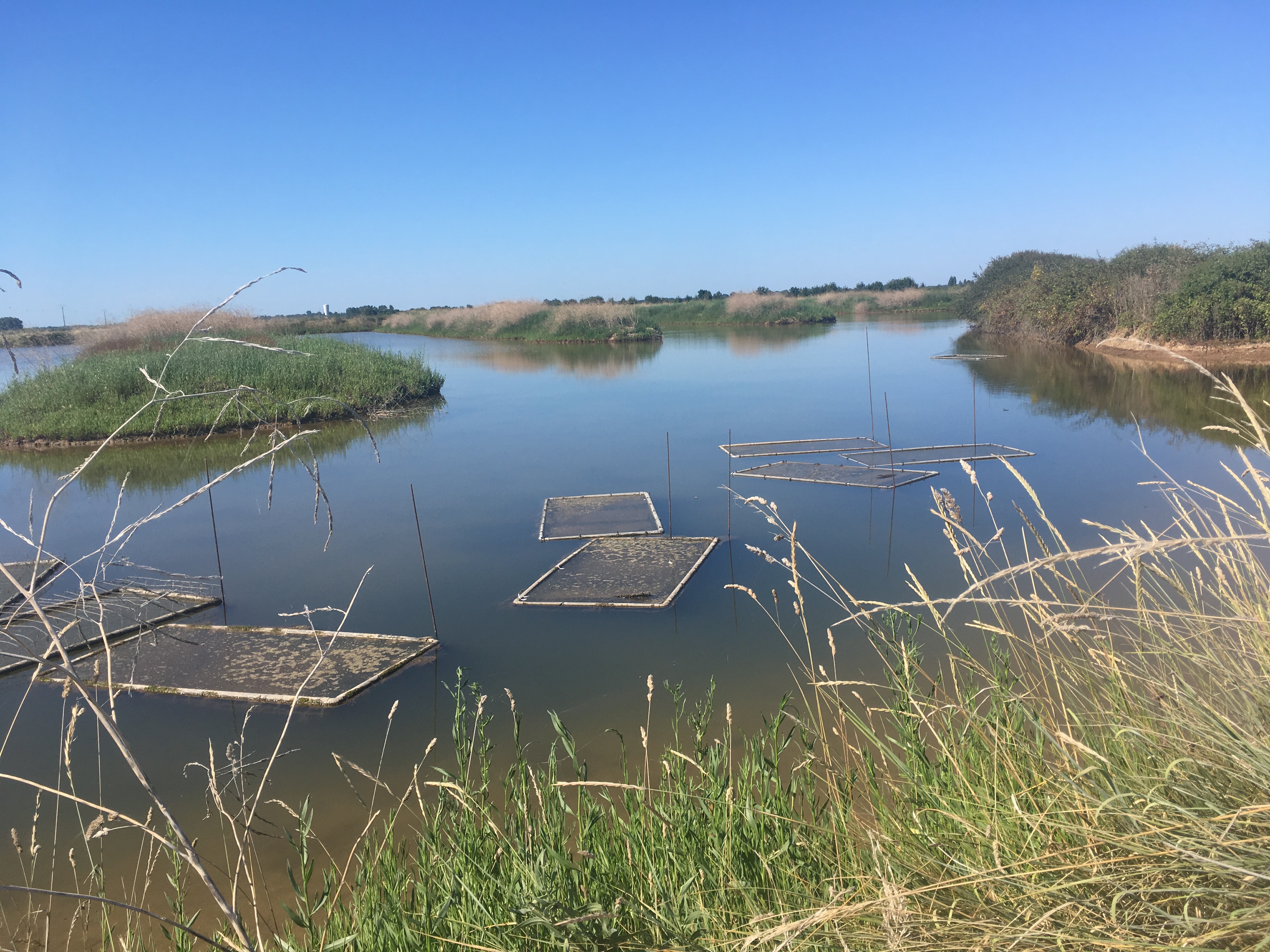 Port de Saint-Vivien-de-Médoc