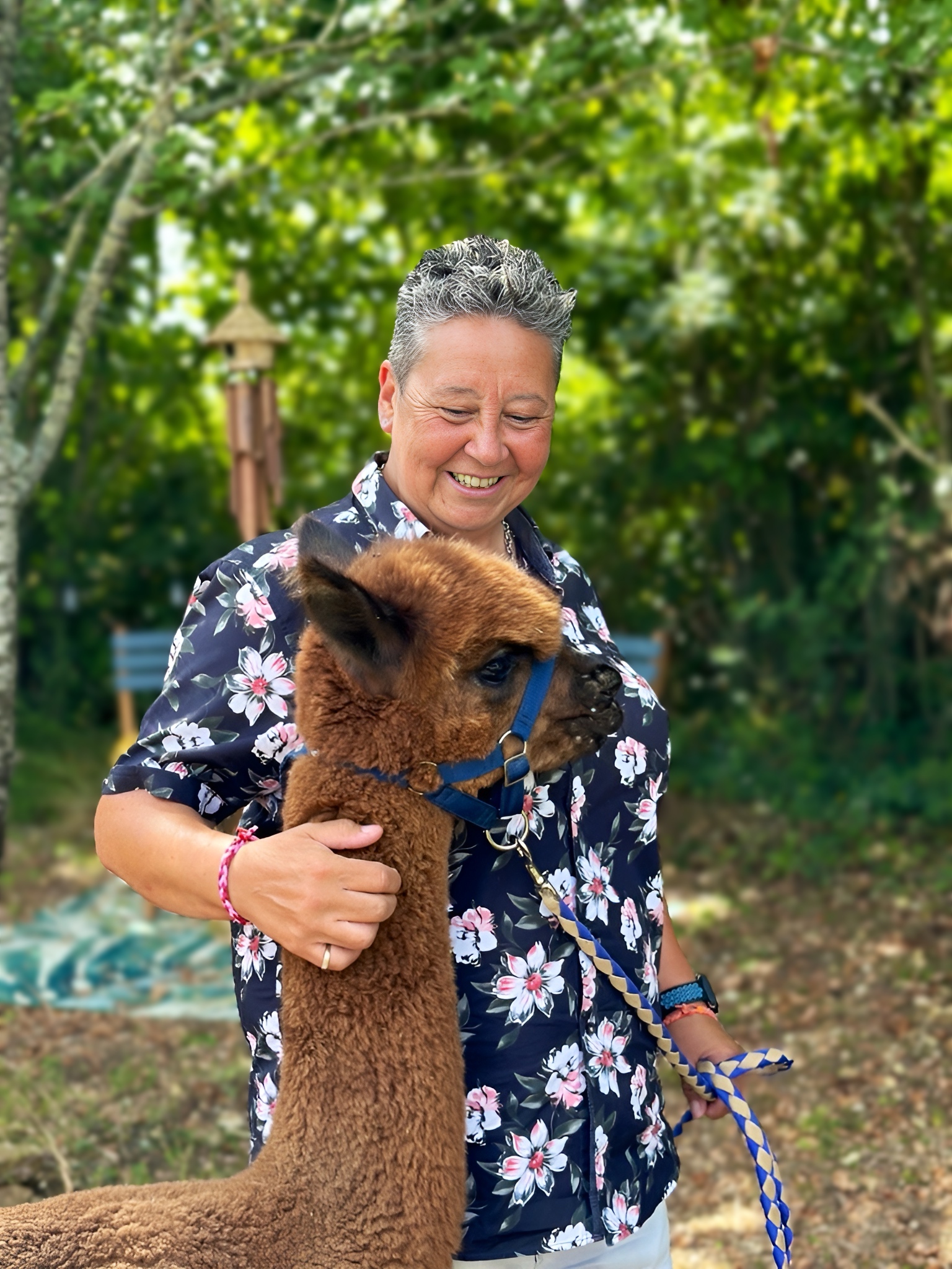 Promenade avec les Alpagas, Limalonges - photo 5