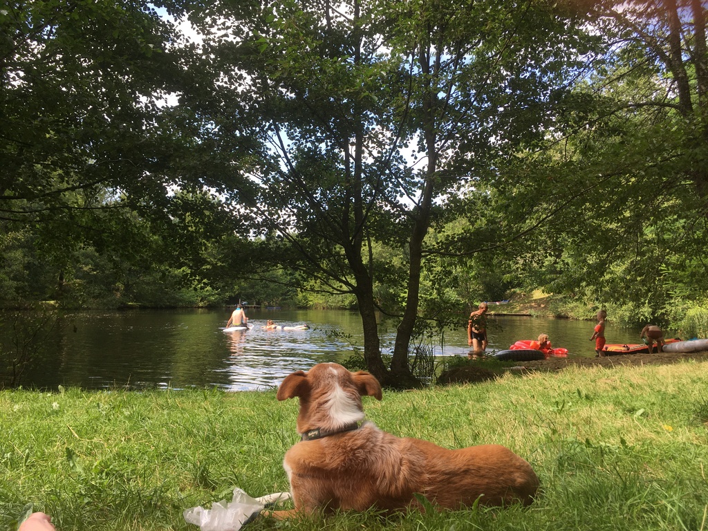 Camping La Semnadisse - photo 5