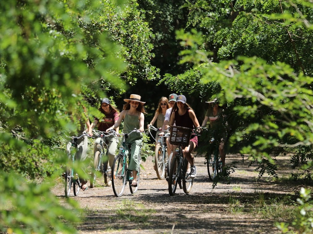 Location de vélos - Surf Shop l'Esquiro