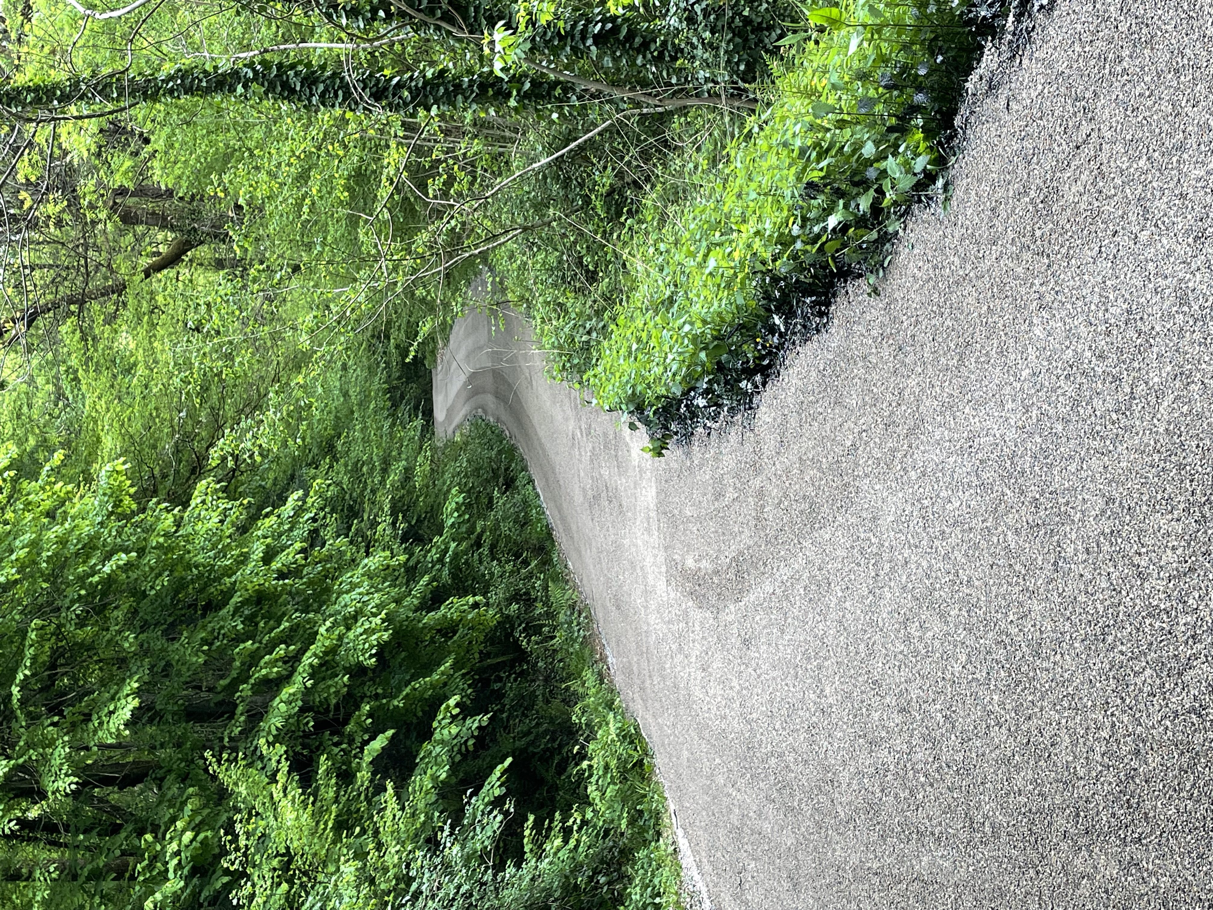 Petite maison en Corrèze - photo 3