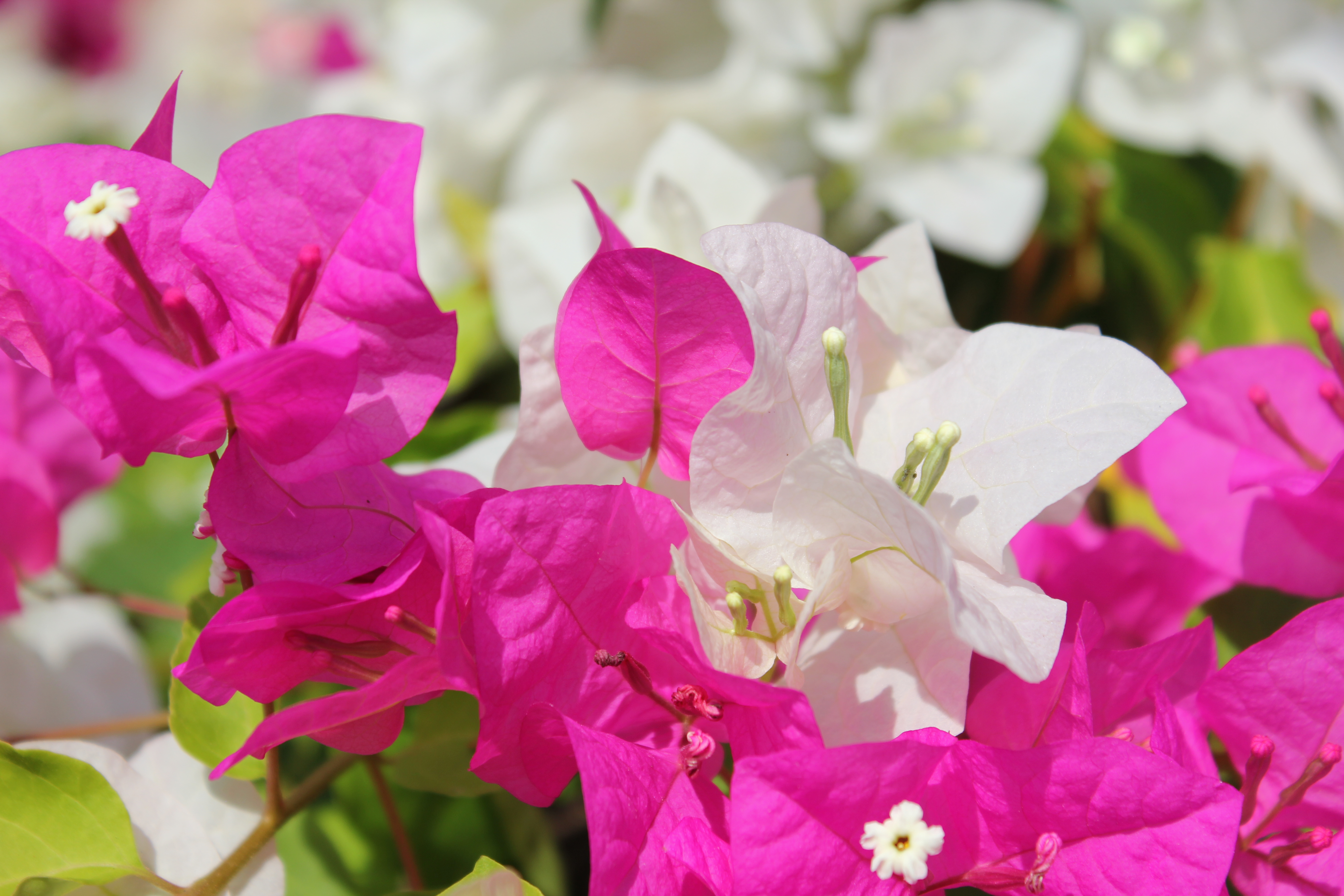 Atelier Terre d'Aventures Créatives