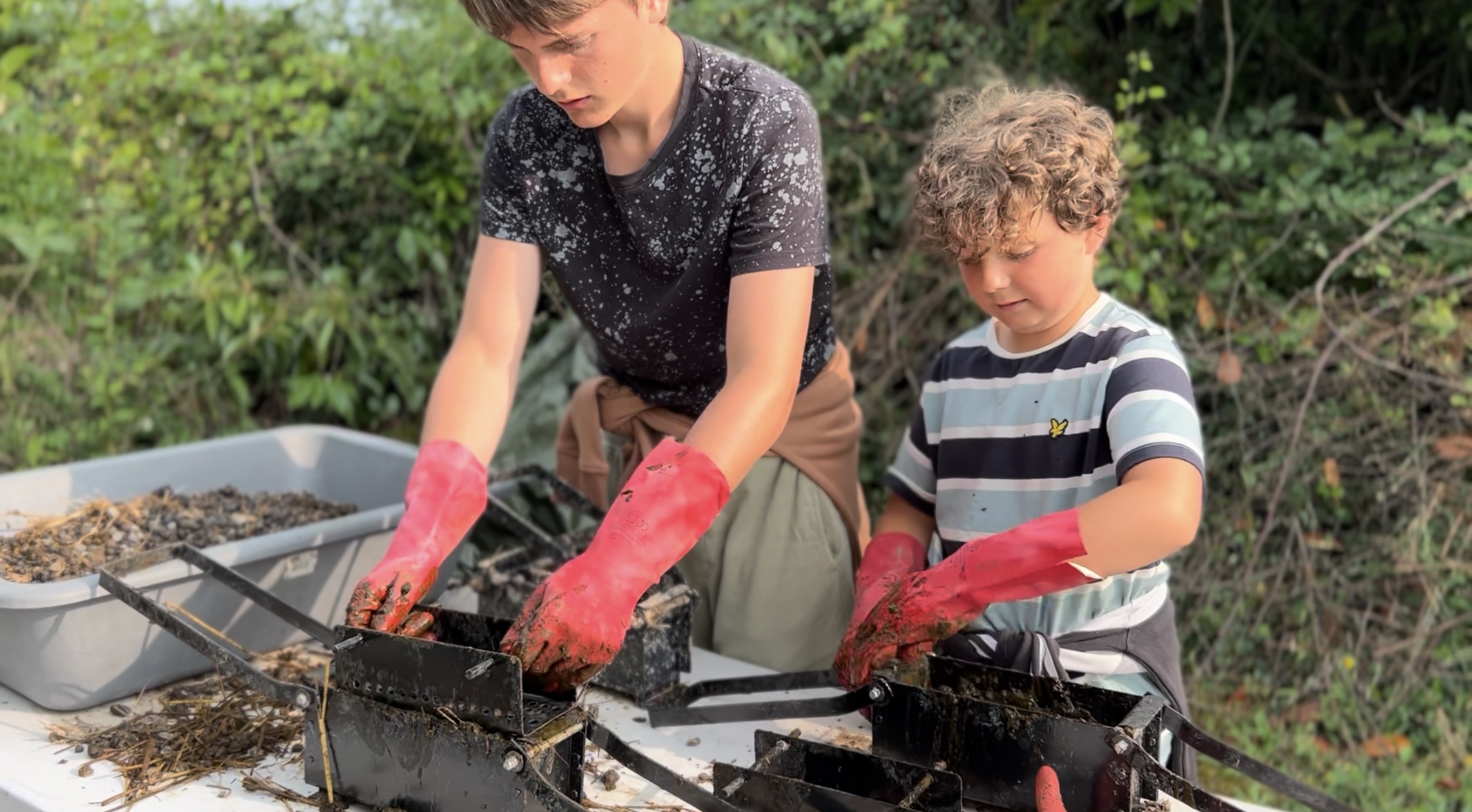 Promenade avec les Alpagas, Limalonges