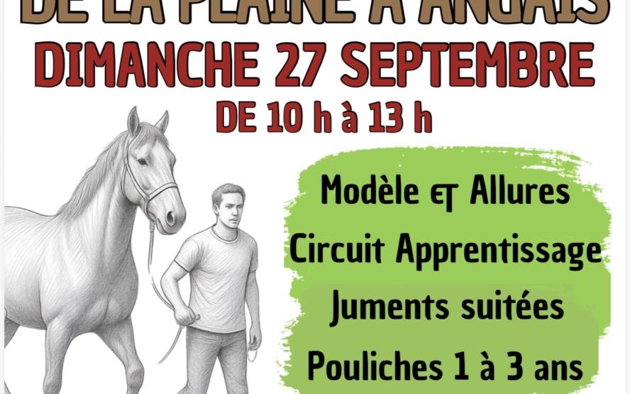 Image de présentation du lieu