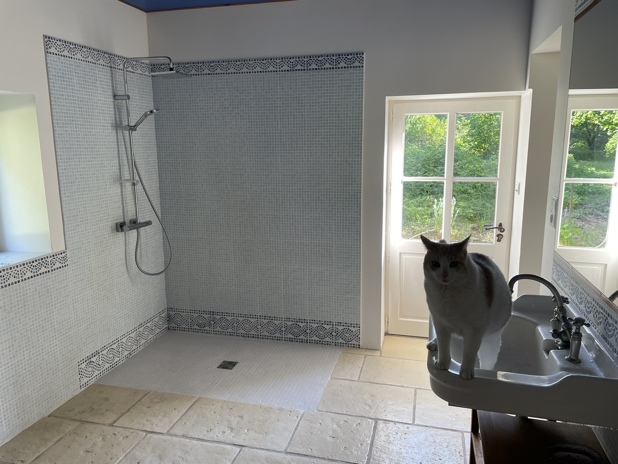 Fermette dans le Poitou - photo 2