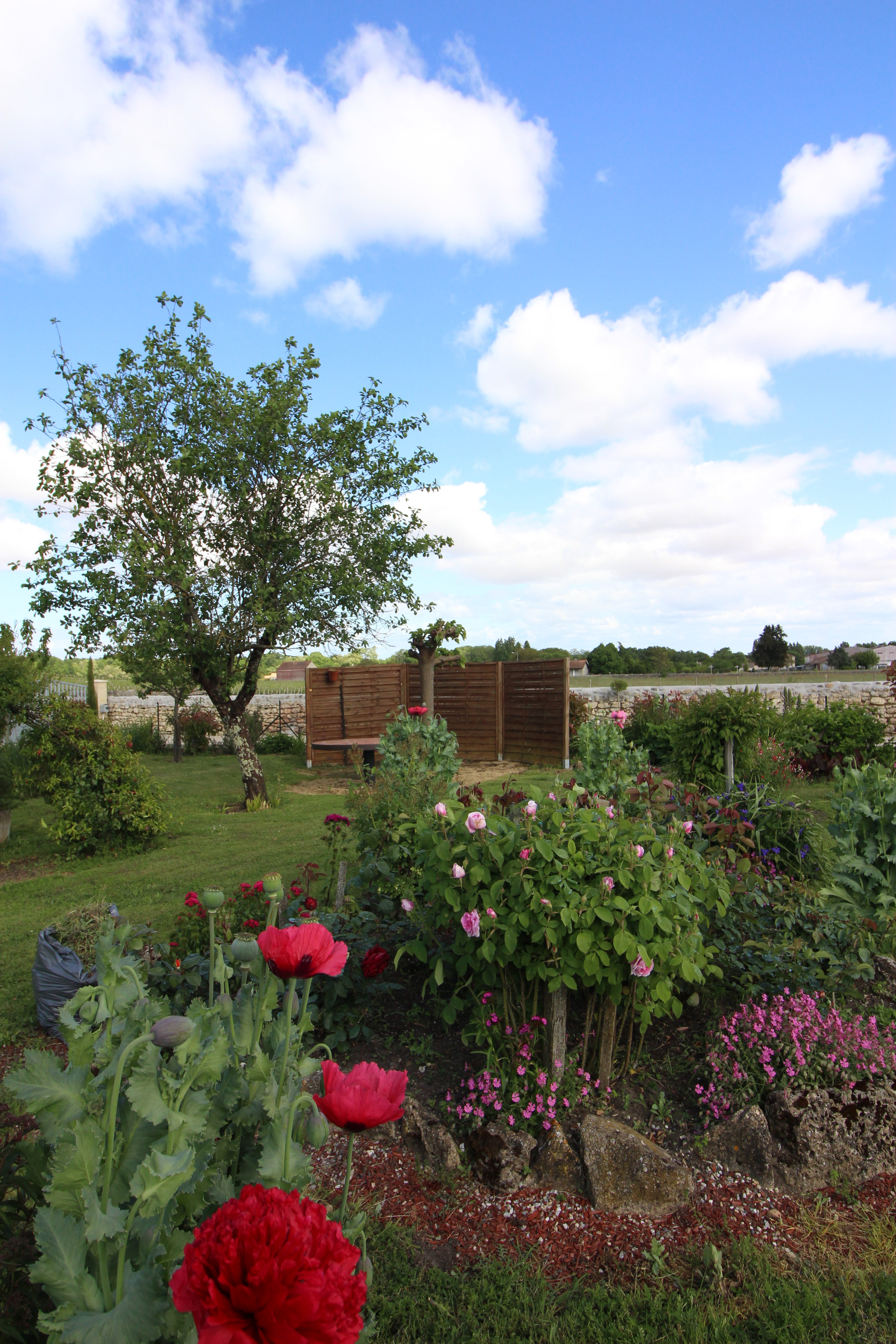 Gîte de Potensac, Ordonnac - photo 14