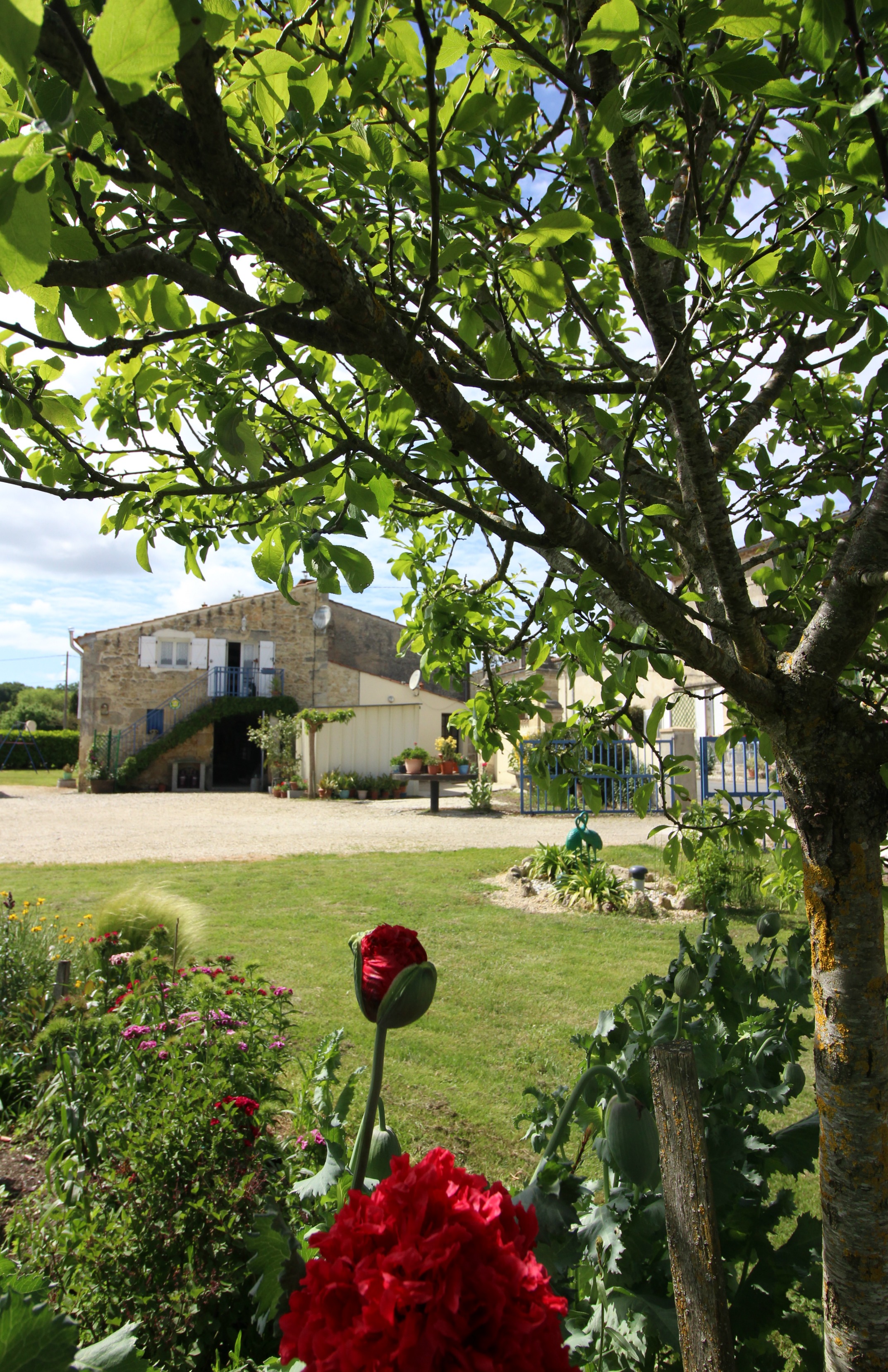 Gîte de Potensac, Ordonnac - photo 12