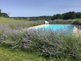 The Studio, Parranquet