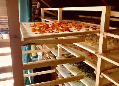 Atelier Herboristerie