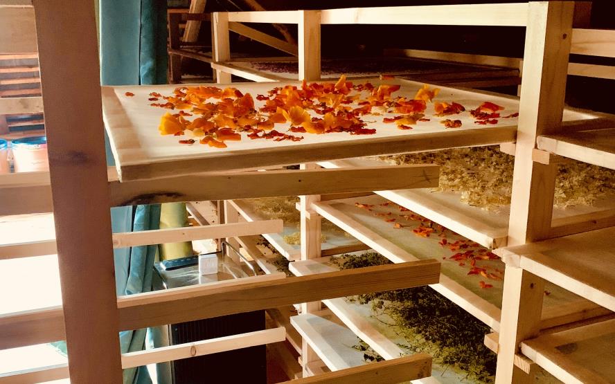 Image de présentation du lieu