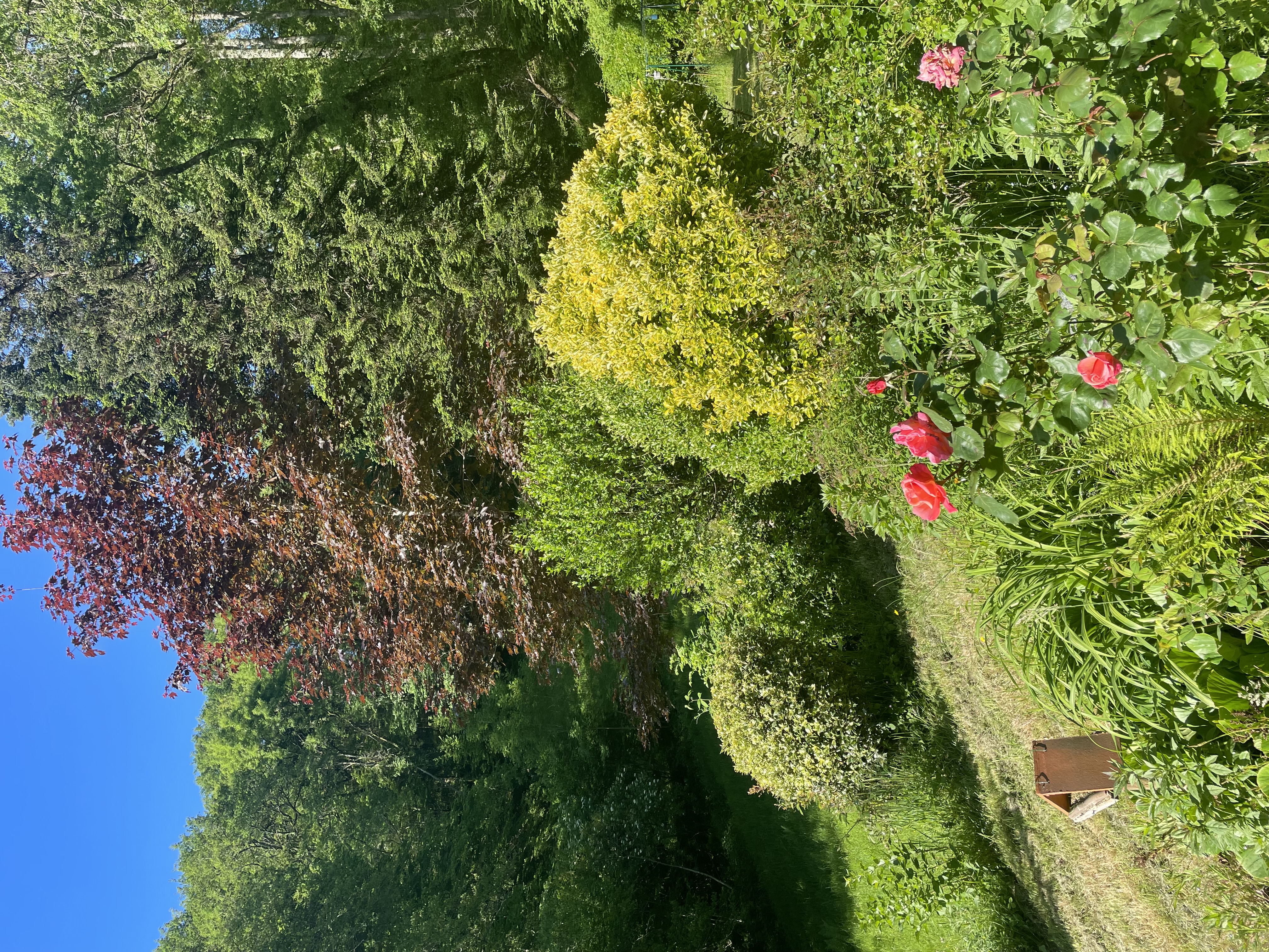 La petite Chaba, Beaulieu-sur-Dordogne - photo 4