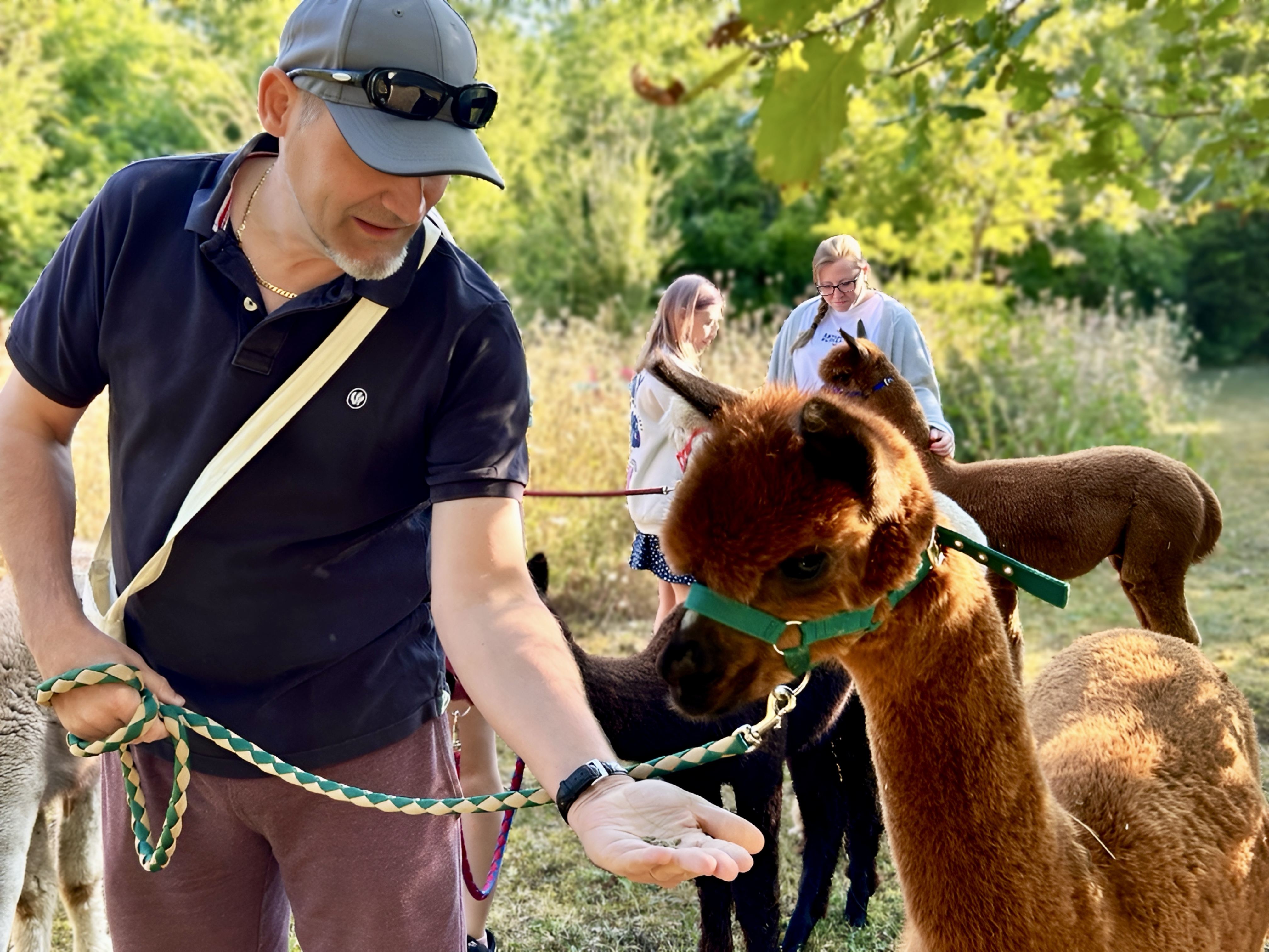Promenade avec les Alpagas, Limalonges - photo 11