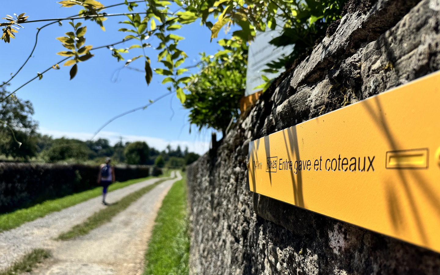 N°93 - Entre gave et coteaux