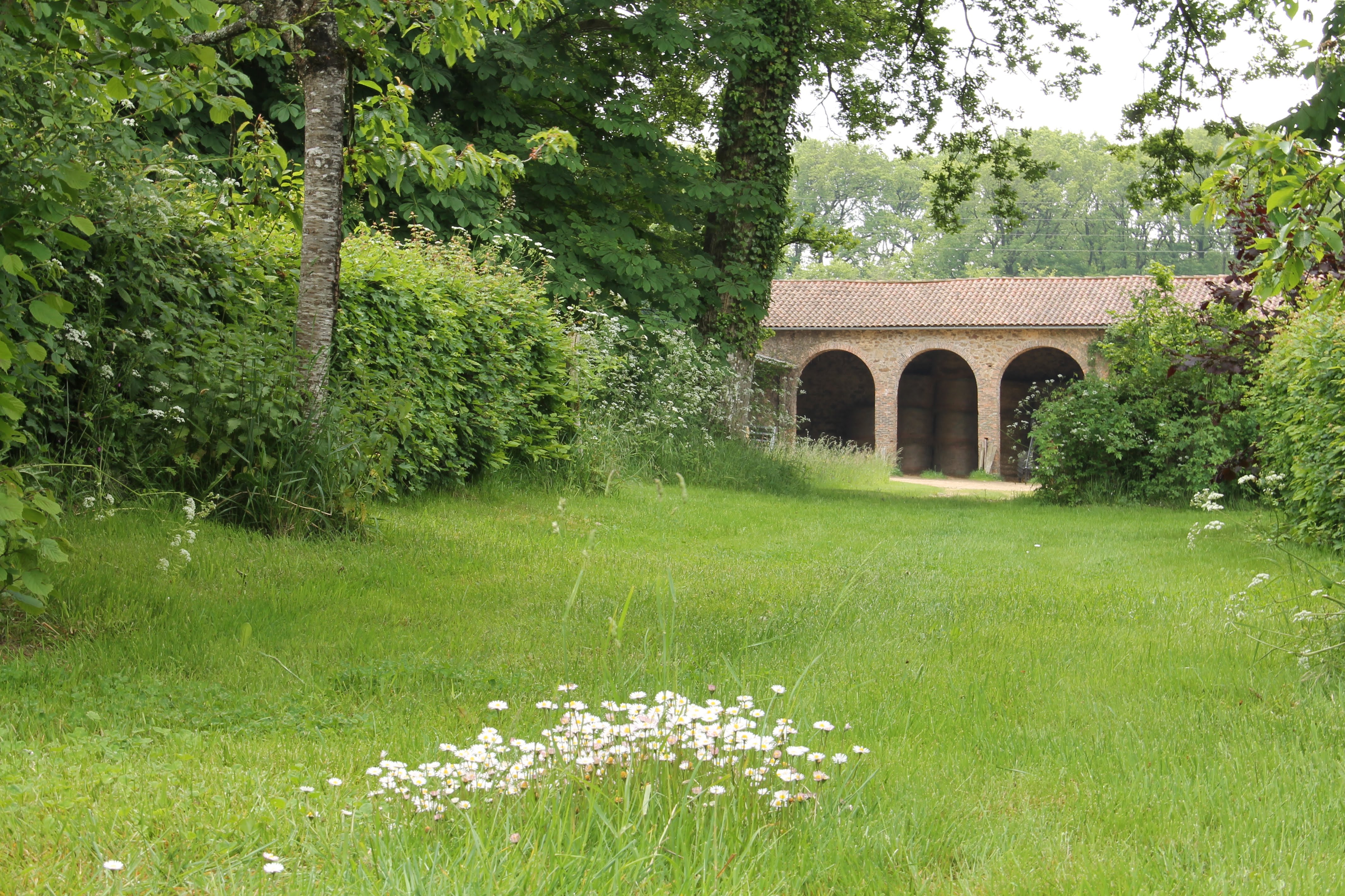 Domaine des Roches Blanches, Le Pin - photo 8