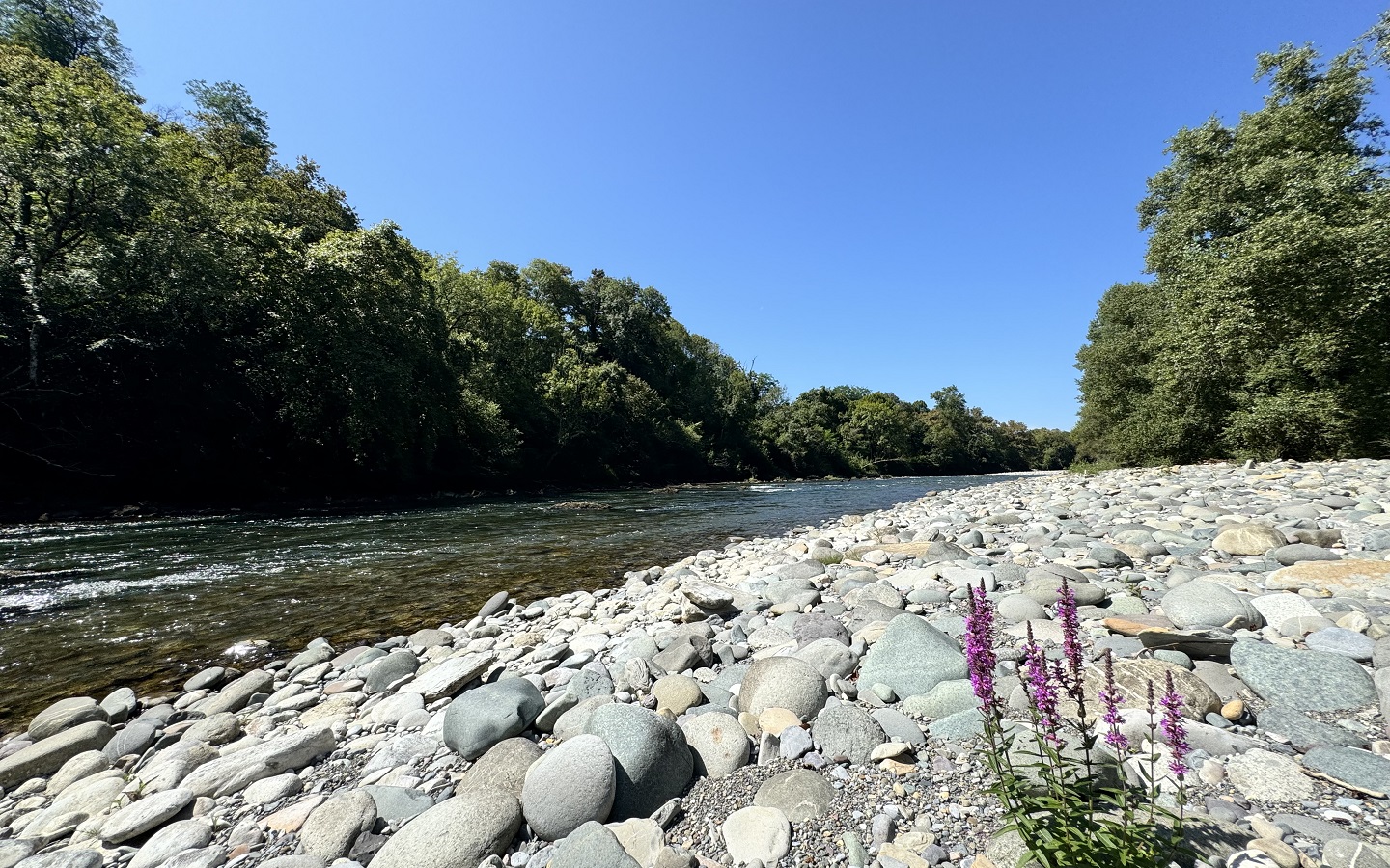 N°93 - Entre gave et coteaux, Saucède - photo 3
