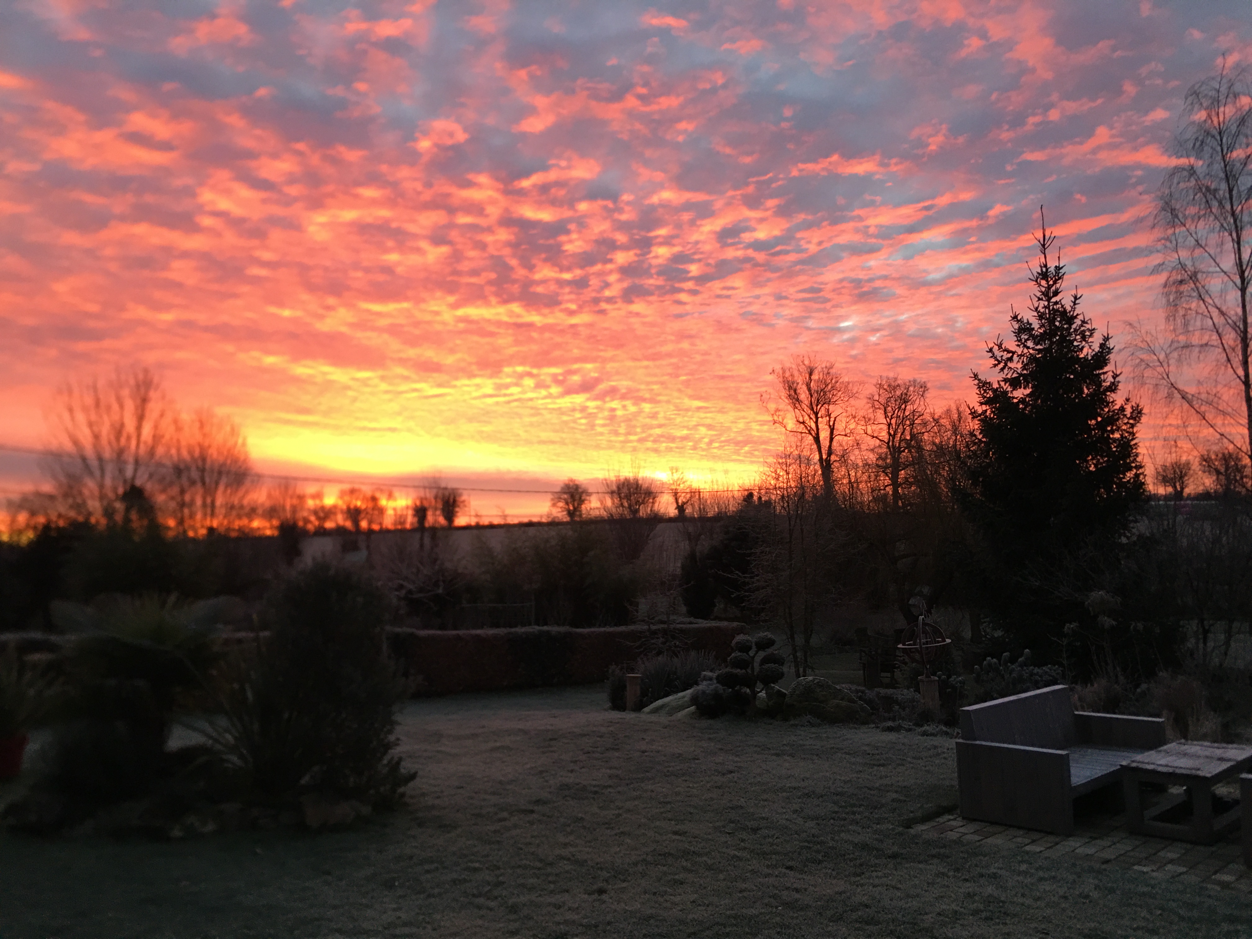 Les épis du vent, Adilly - photo 9