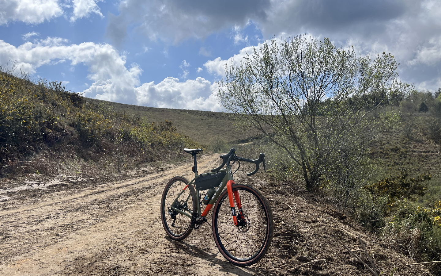LVL Cycles — photo 2