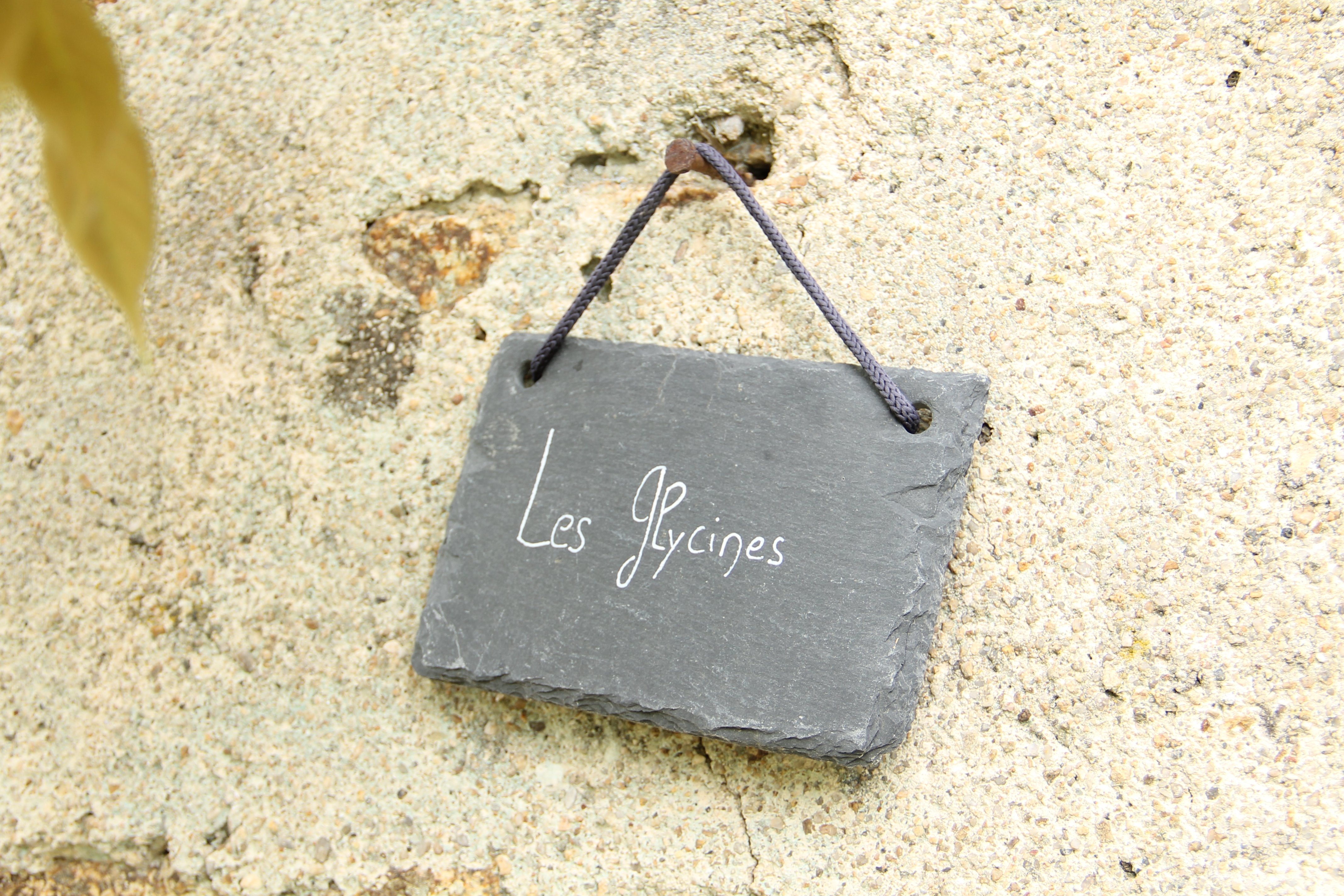 Gîte des glycines - Les Roches Blanches, Le Pin