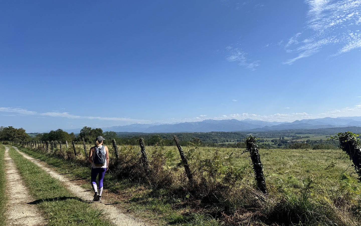 N°93 - Entre gave et coteaux, Saucède - photo 6