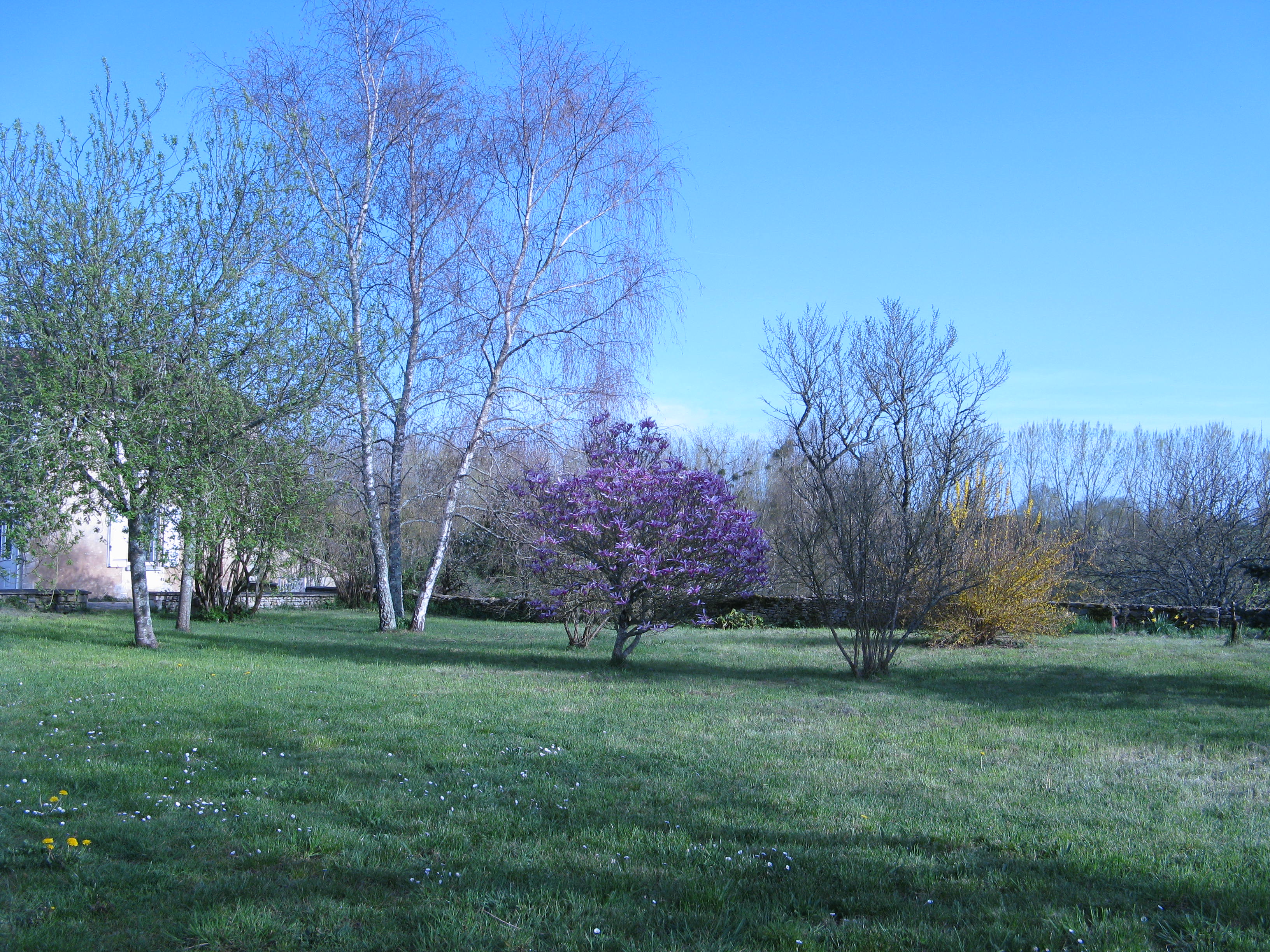 Le Verger, Xaintray - photo 6