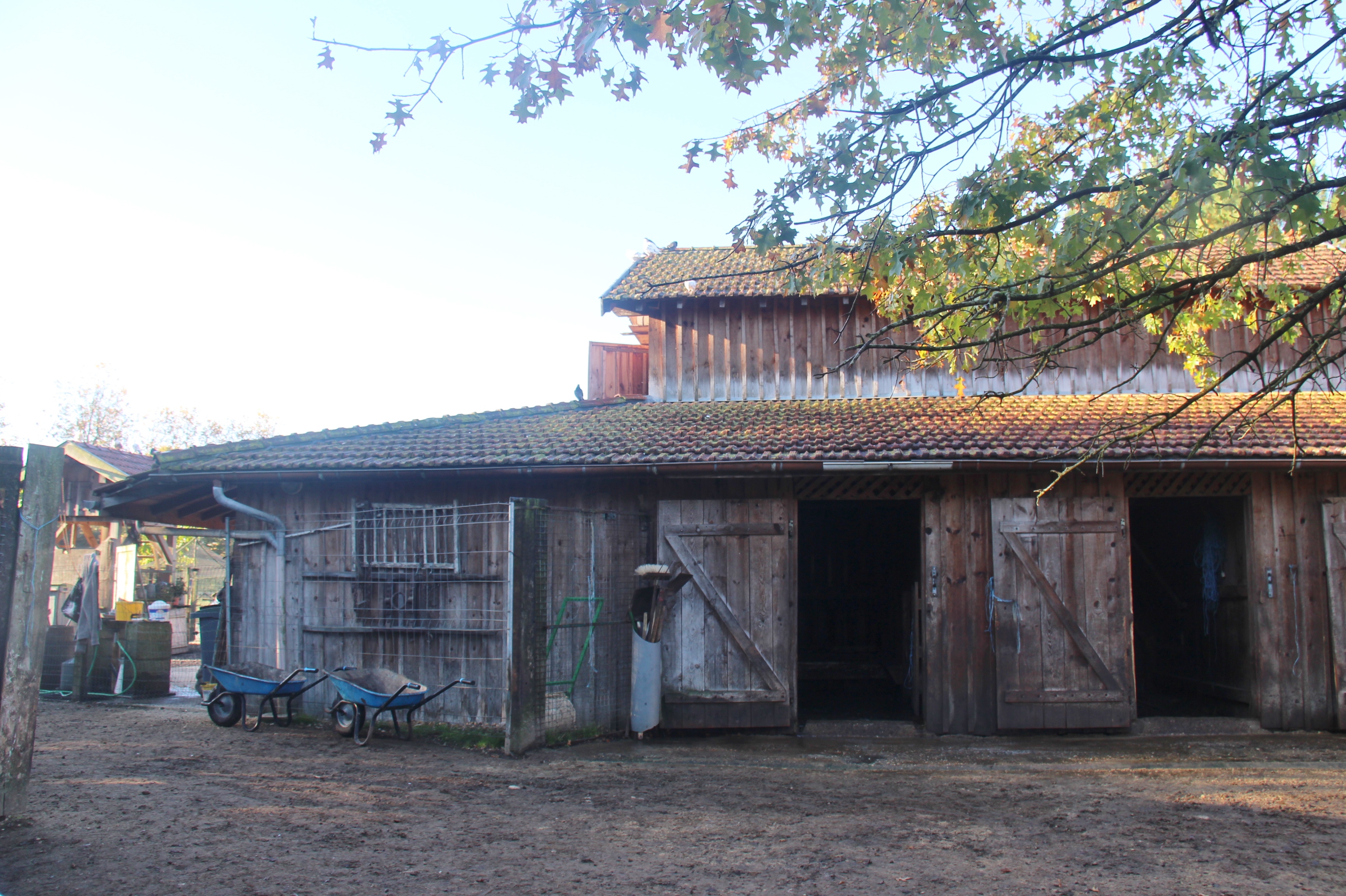 Ferme pédagogique au Musée des traditions, Biscarrosse - photo 15