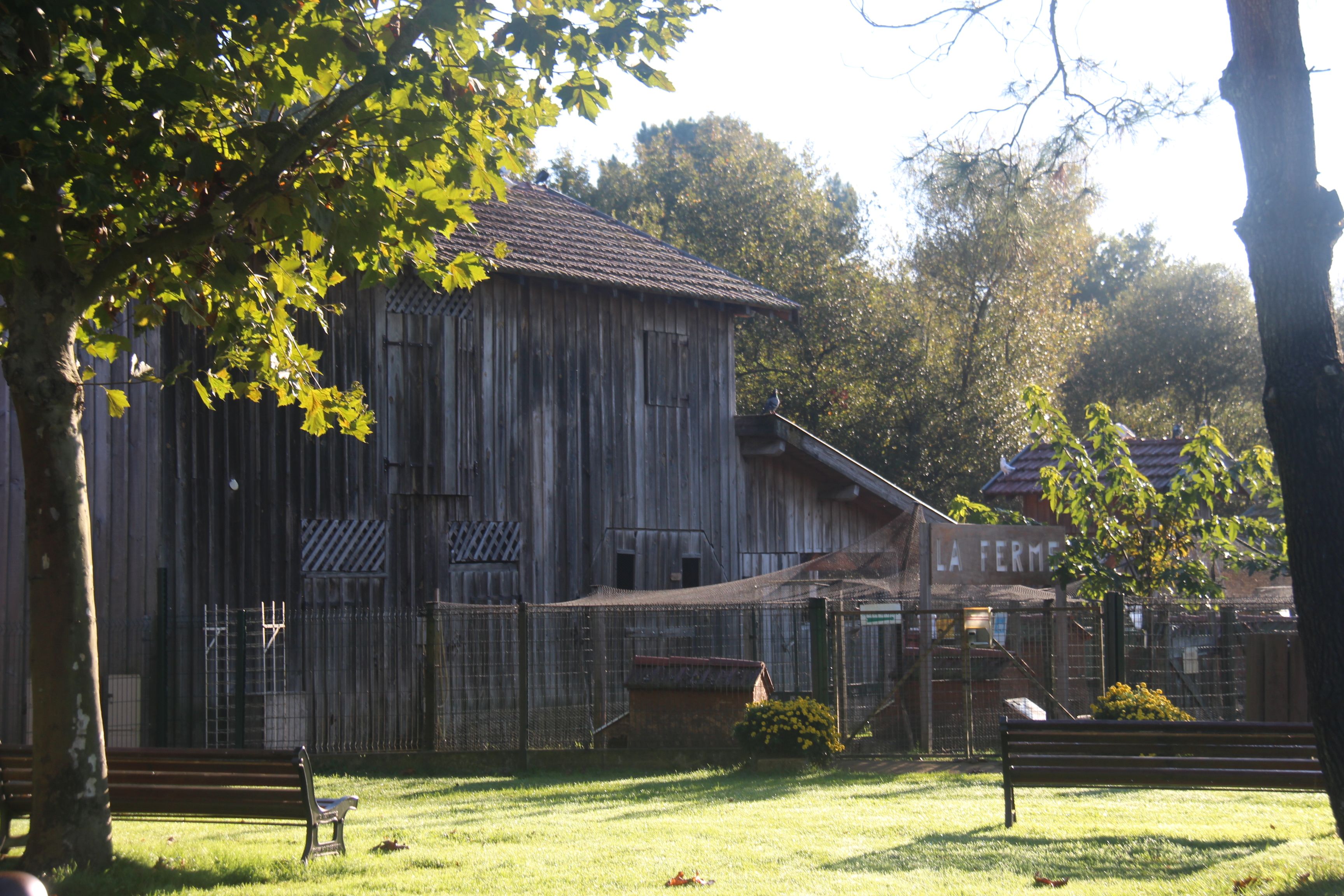 Ferme pédagogique au Musée des traditions, Biscarrosse - photo 7