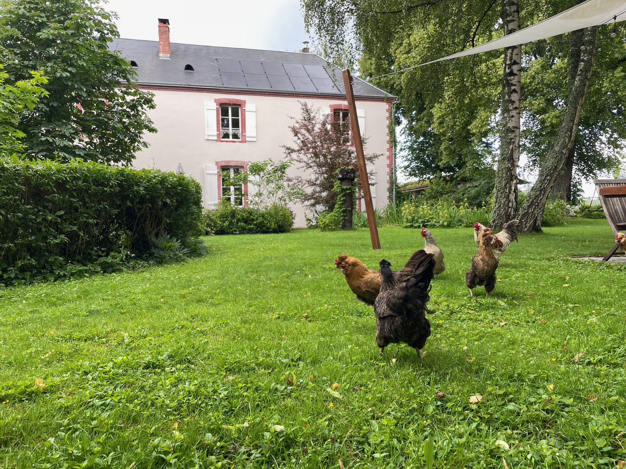 CHEZ MÉMÉ DELPHINE, Moutier-Malcard - photo 9
