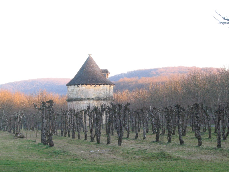 Colombier du Château de Sauveboeuf, Aubas - photo 5