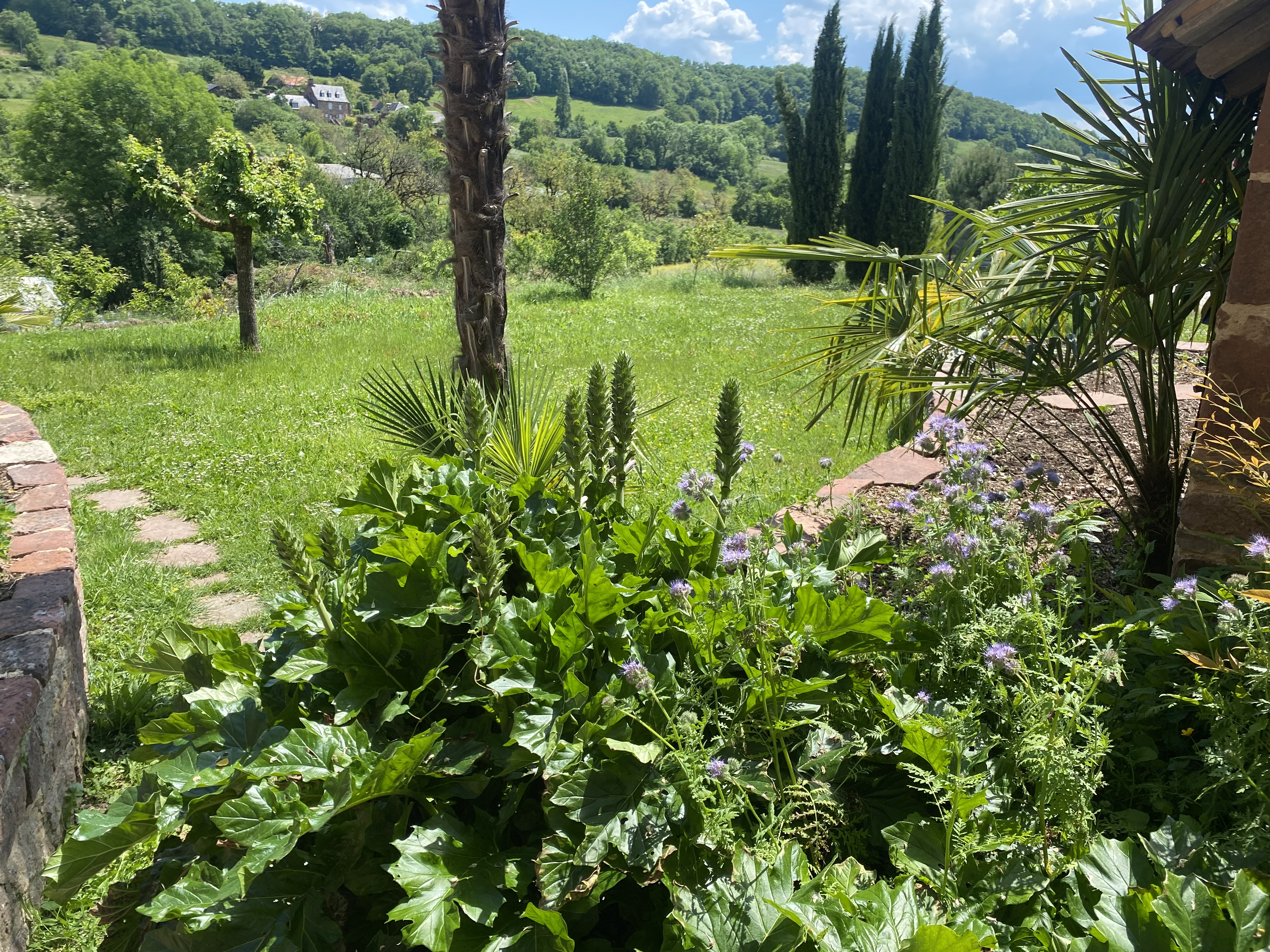Le Palmier d'Alice, Collonges-la-Rouge - photo 13