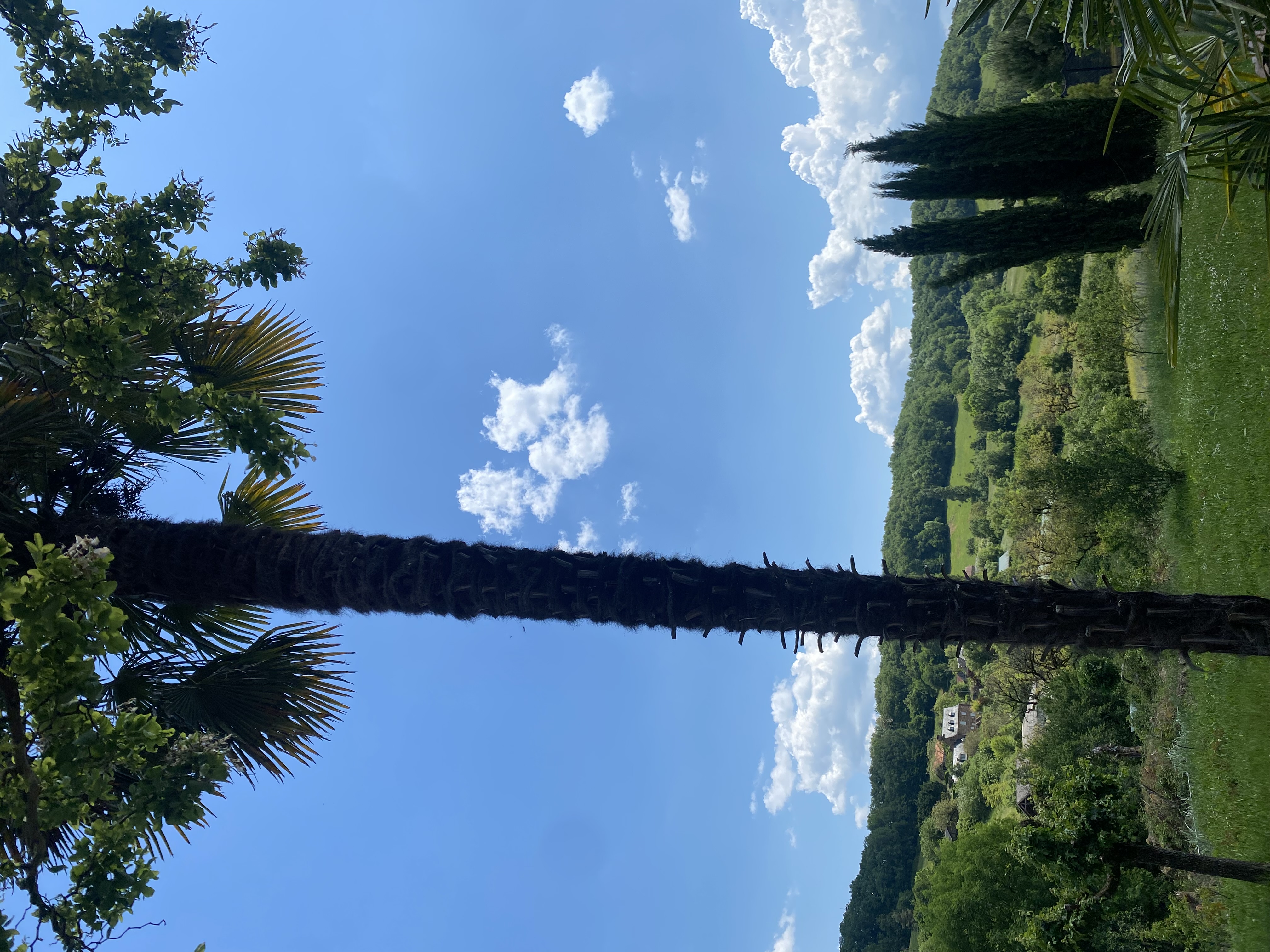 Le Palmier d'Alice, Collonges-la-Rouge - photo 7