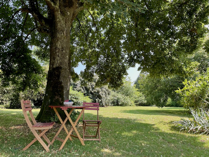 Chambre d'hôtes "Le Bain d'Alice", Saint-Laurent-sur-Gorre - photo 16