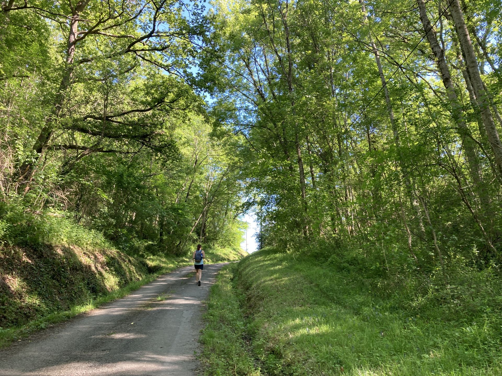 N°84 Castets, Asasp-Arros - photo 3