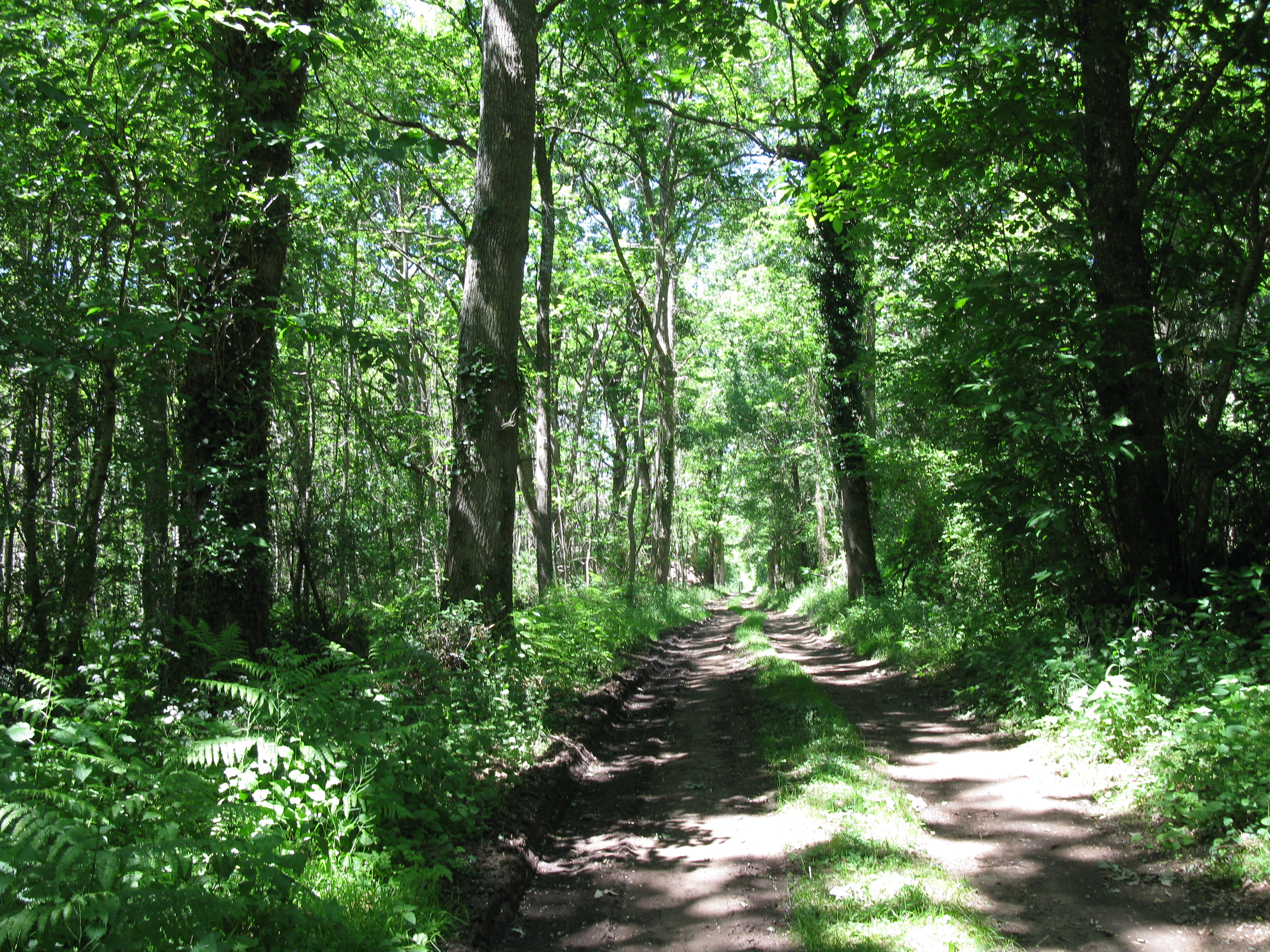 Le Sentier du Pigeonnier - Circuit n°49