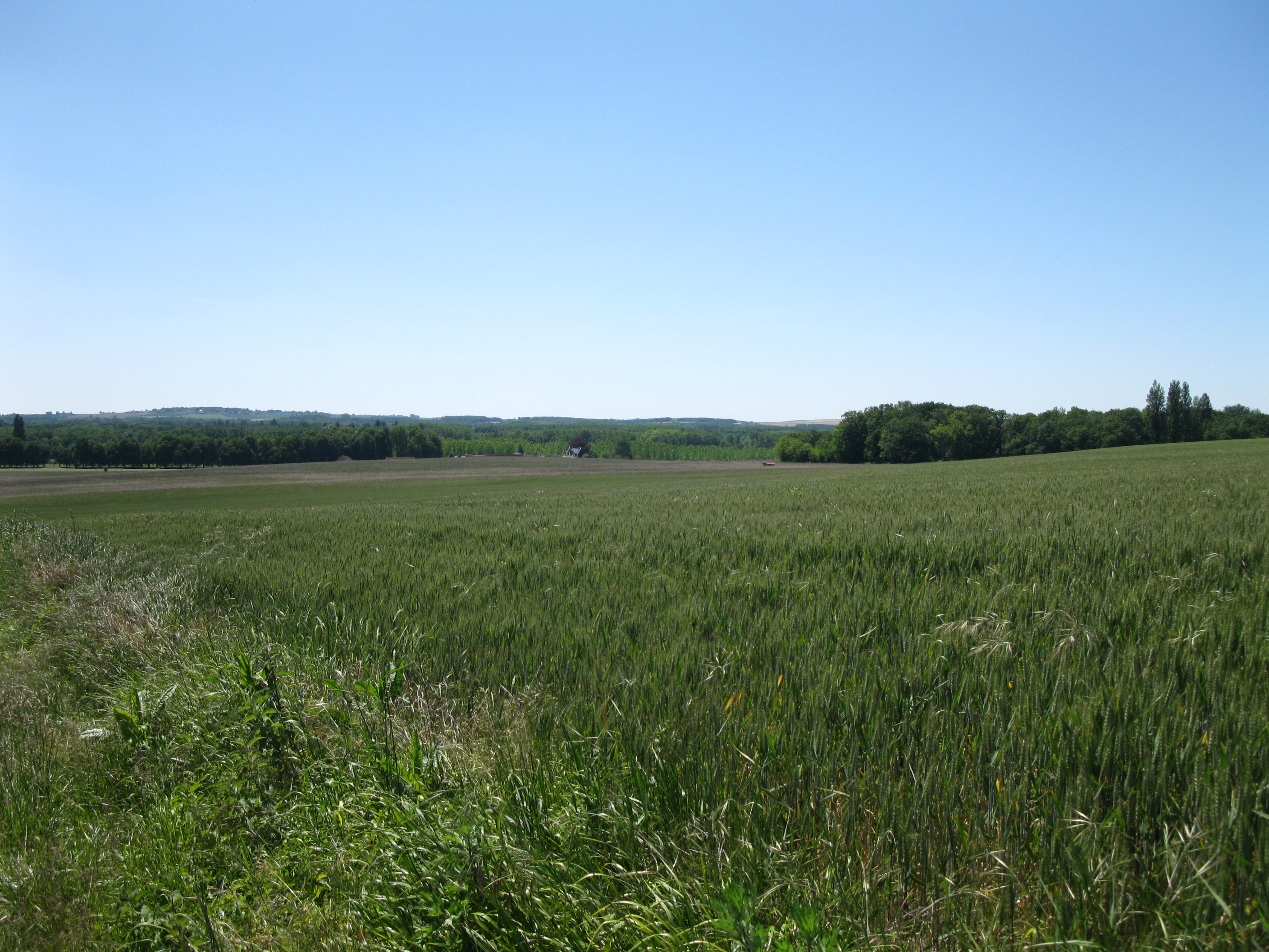Le Sentier du Pigeonnier - Circuit n°49, Sérigny - photo 2