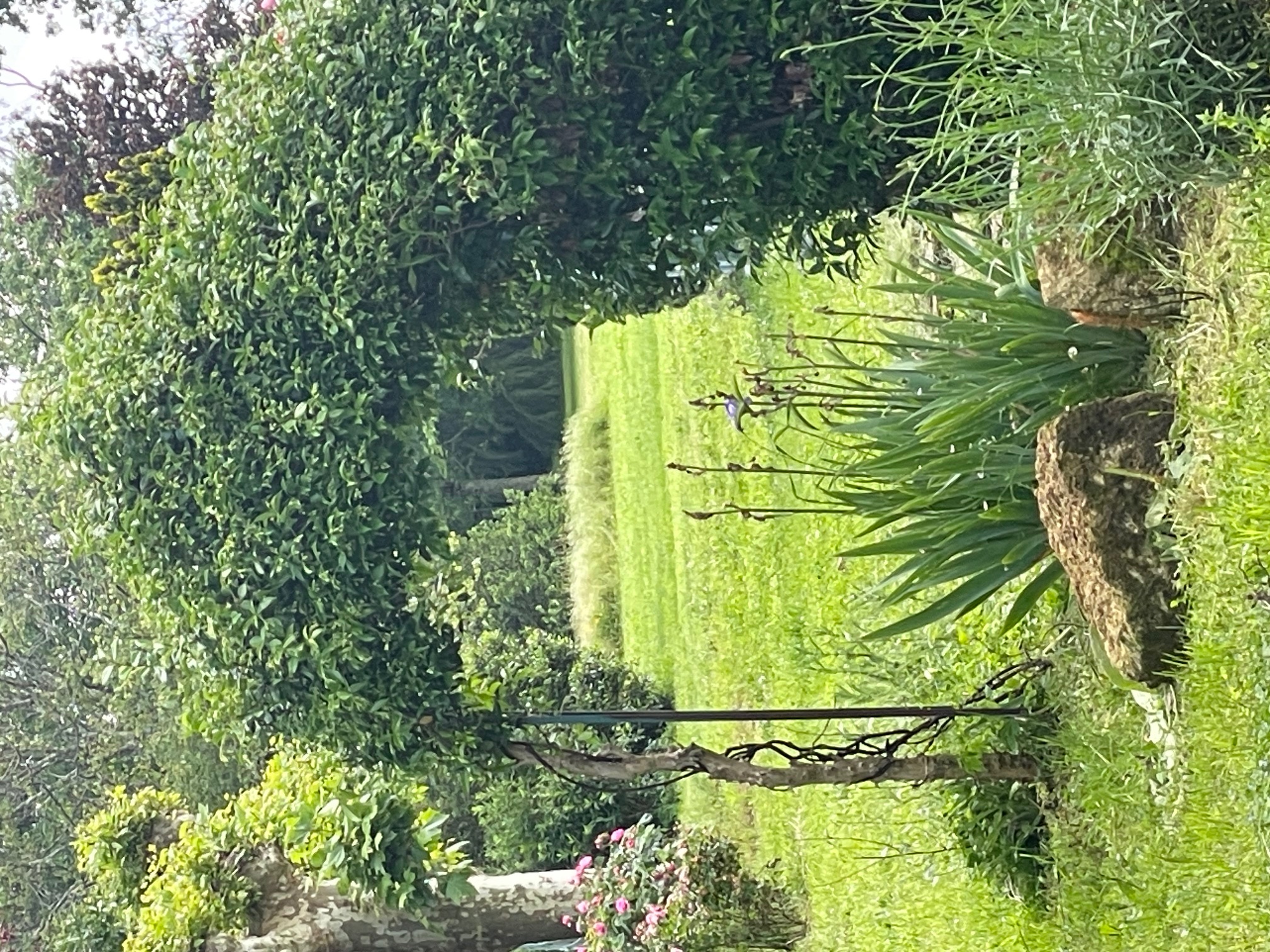 Cinégîte du jardin aux étoiles, Saint-Pey-de-Castets