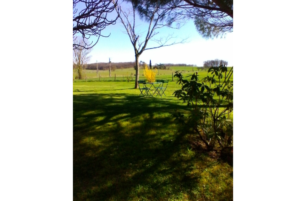 Les Hortensias - photo 4