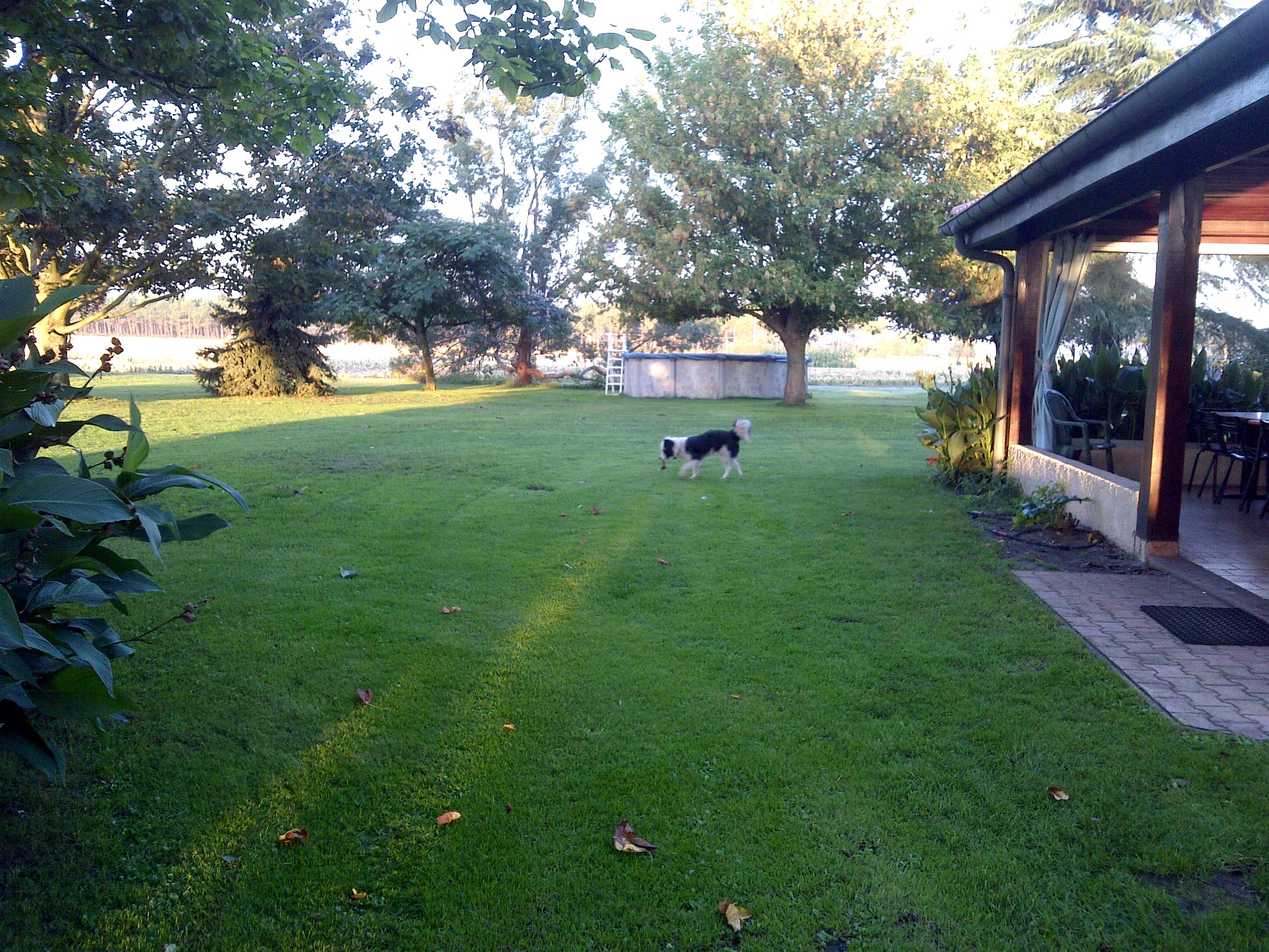 Grand Bonnan, Onesse-Laharie - photo 5