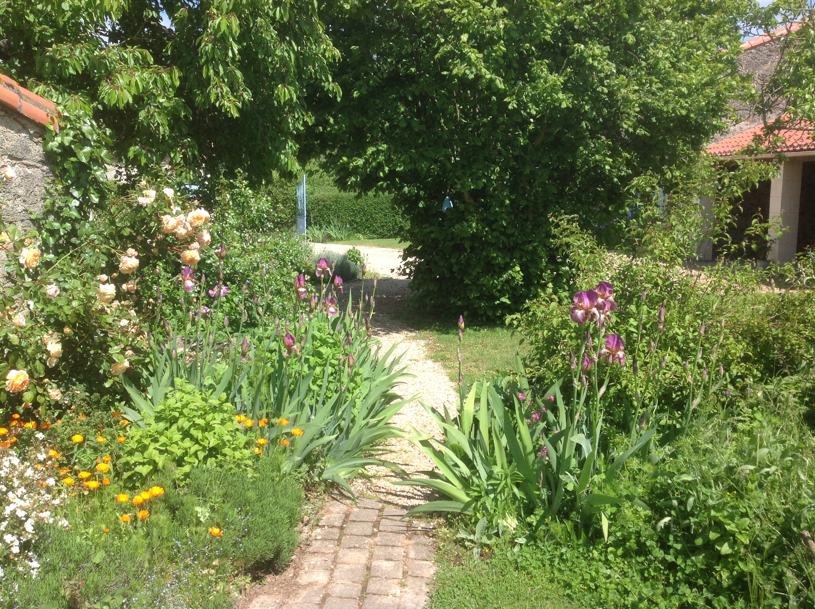 Gîte Floreal - Rose Barn - photo 3