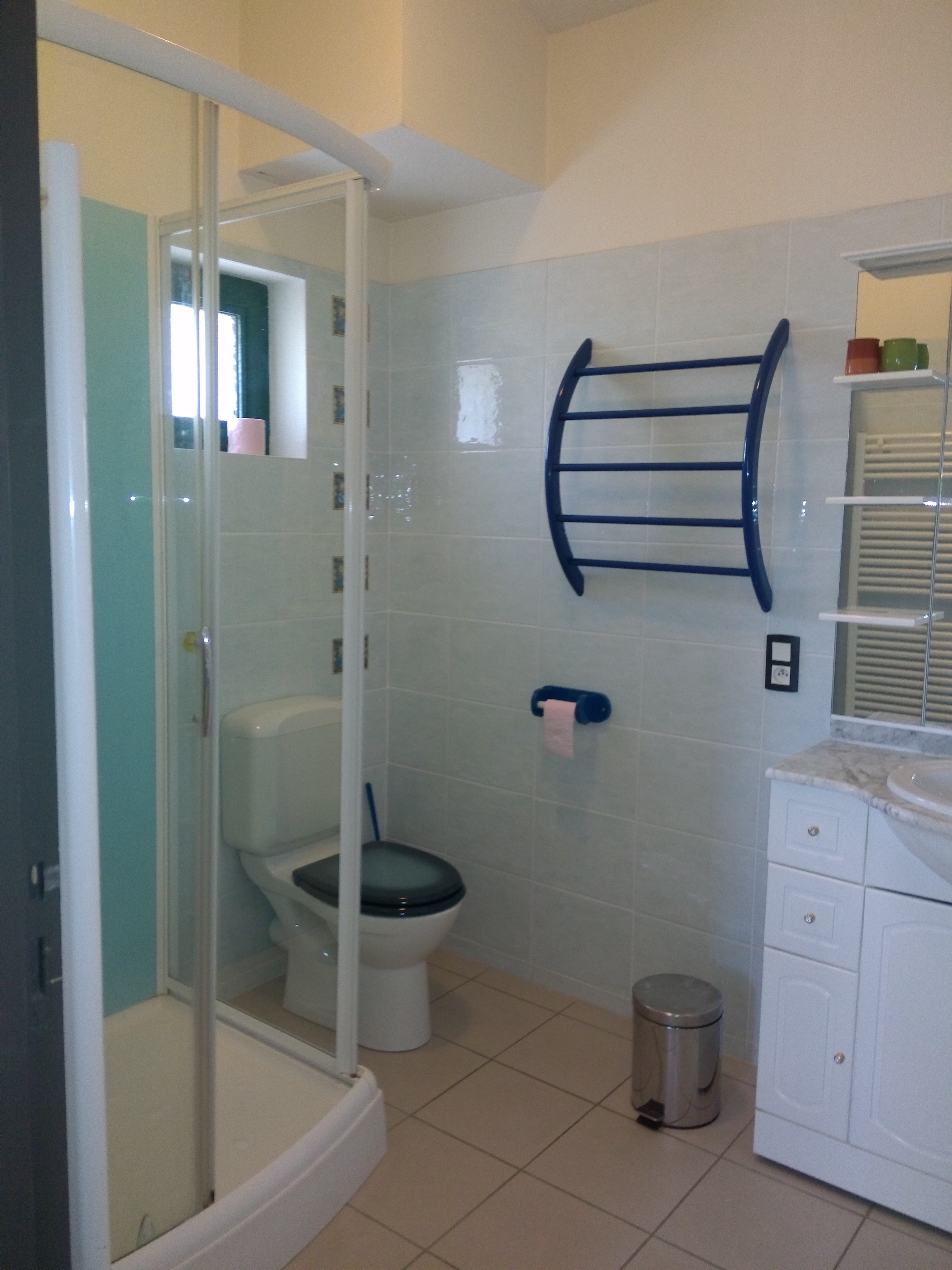 Domaine du Canal - Gîte La Broue (G 261) - photo 2