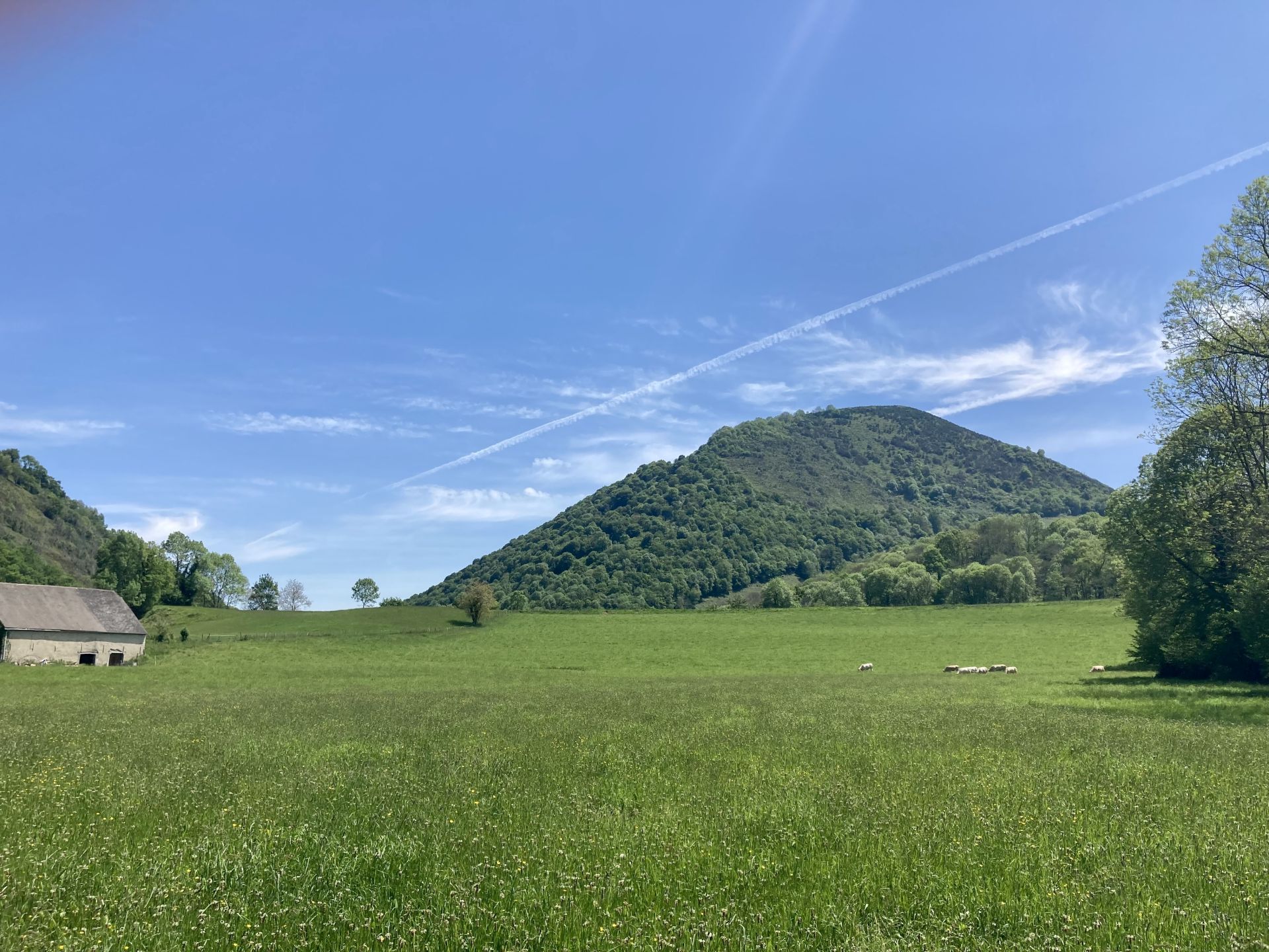 N°9 Barétous - Vallon de Lourdios, Issor - photo 3
