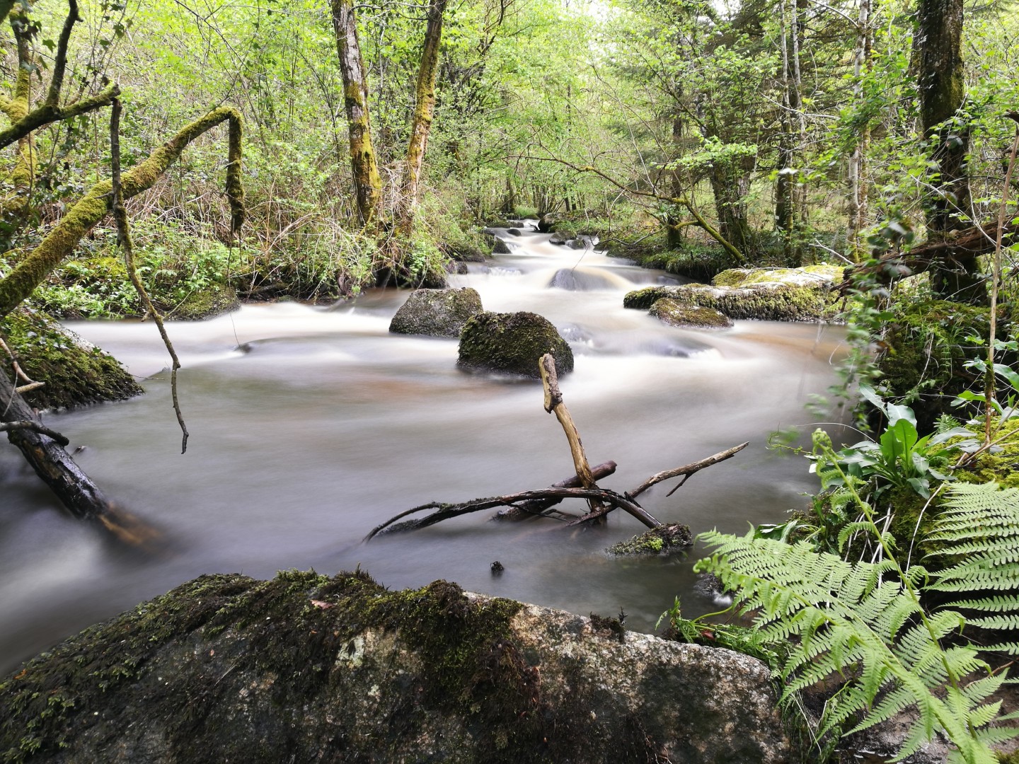 Circuit Pédestre N°59 CC : "La Roche branlante", Saint-Pierre-Chérignat