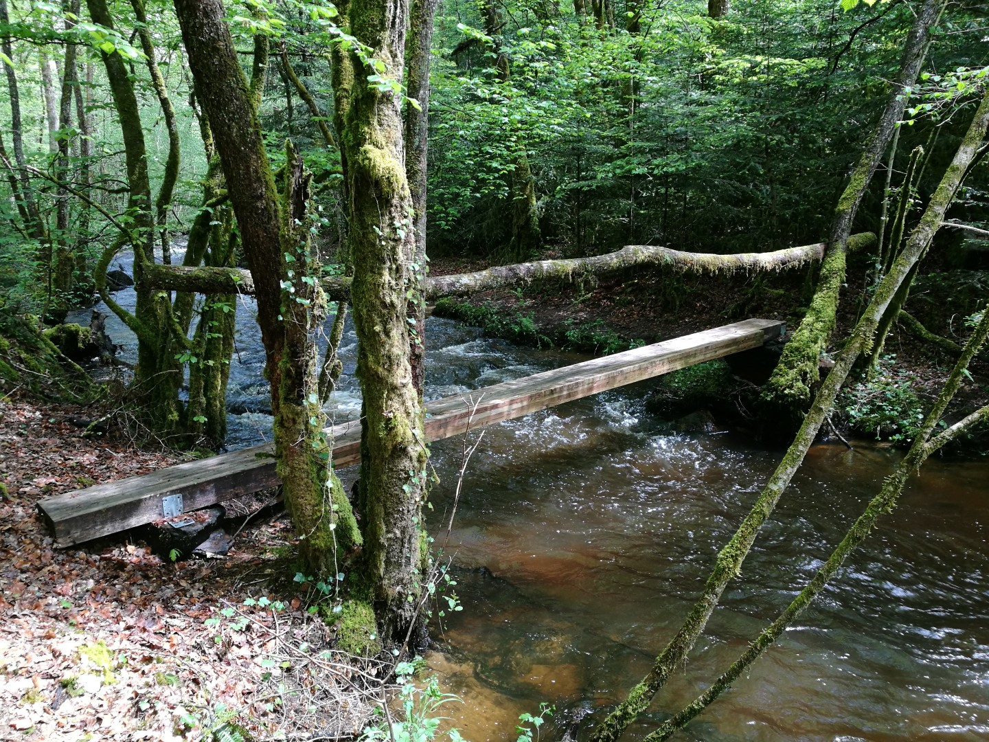 Circuit Pédestre N°59 CC : "La Roche branlante", Saint-Pierre-Chérignat - photo 7