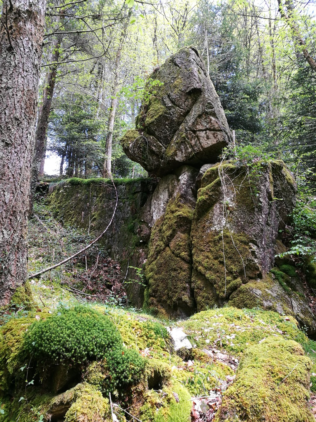 Circuit Pédestre N°59 CC : "La Roche branlante"
