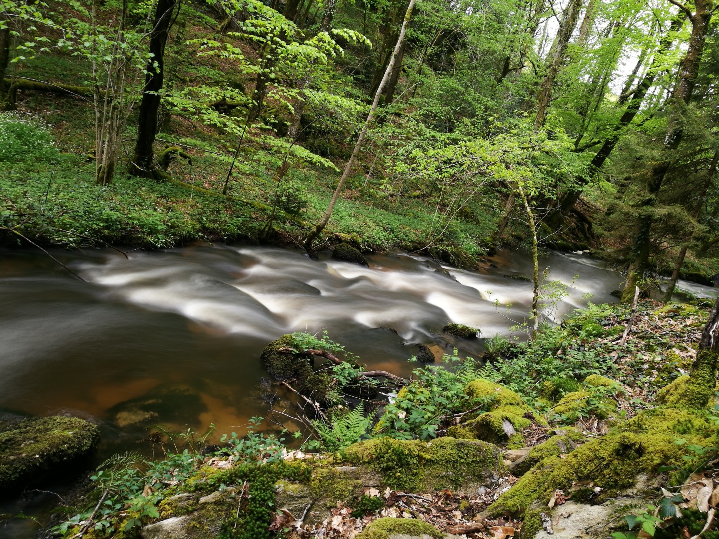 Circuit Pédestre N°59 CC : "La Roche branlante", Saint-Pierre-Chérignat - photo 4