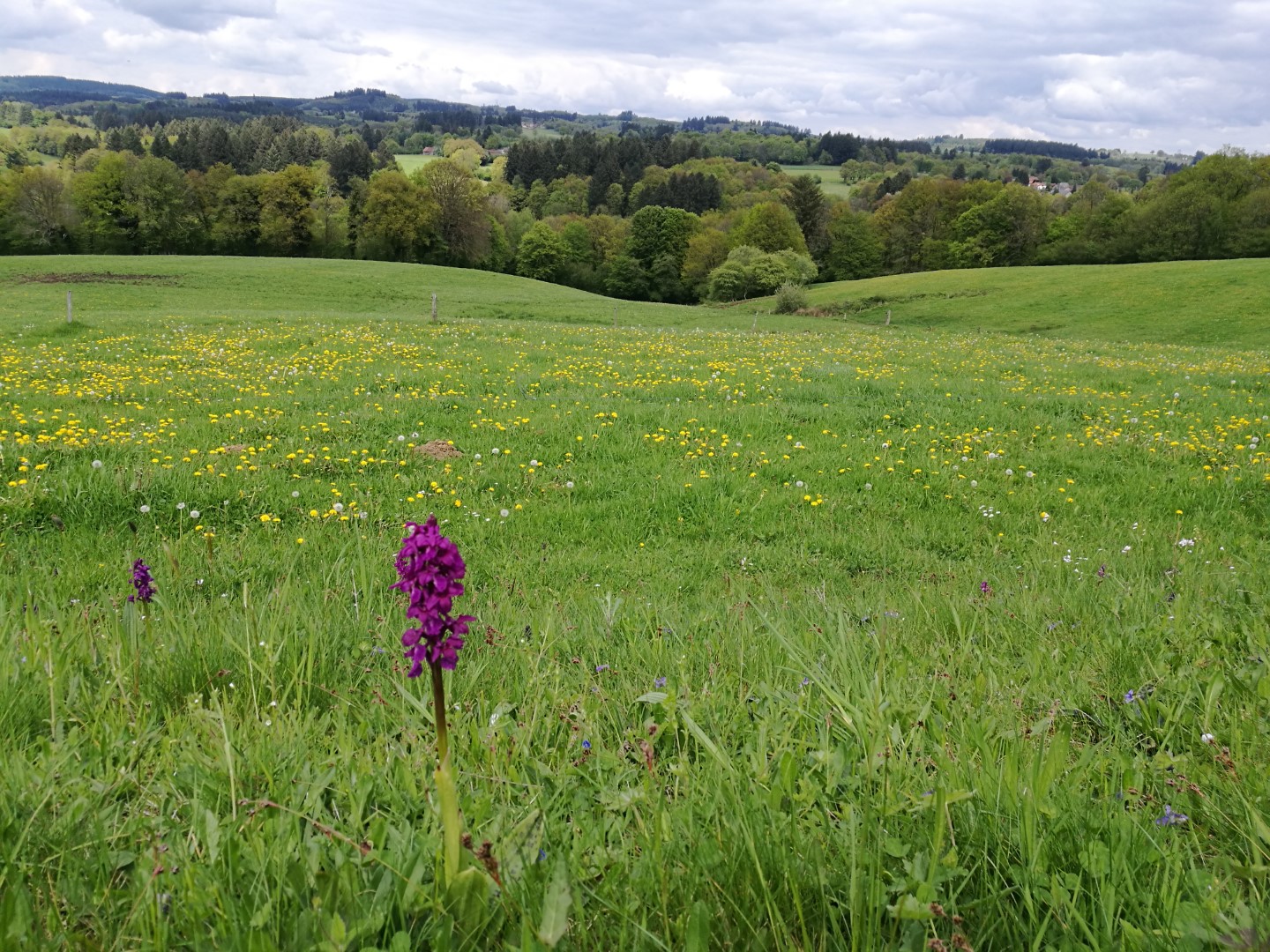 Circuit Pédestre N°59 CC : "La Roche branlante", Saint-Pierre-Chérignat - photo 3