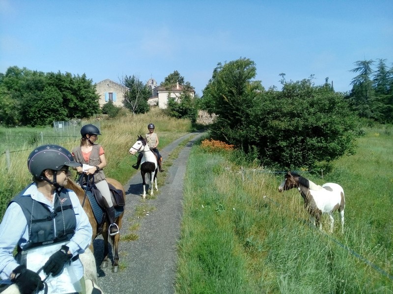 Ferme Equestre des Abrons